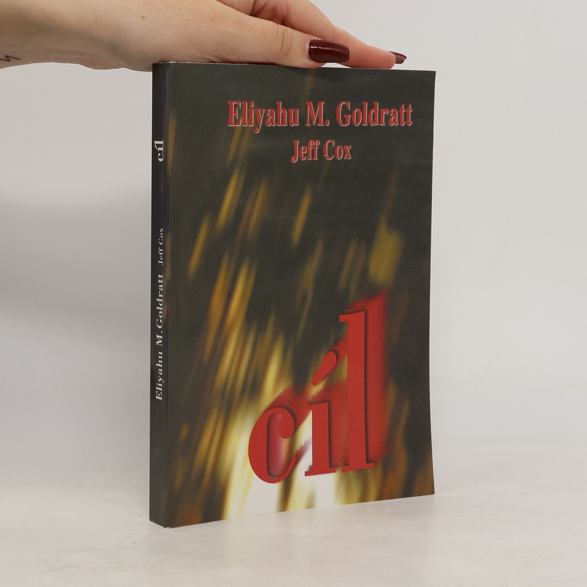 Eliyahu M. Goldratt Cíl. Proces trvalého zlepšování