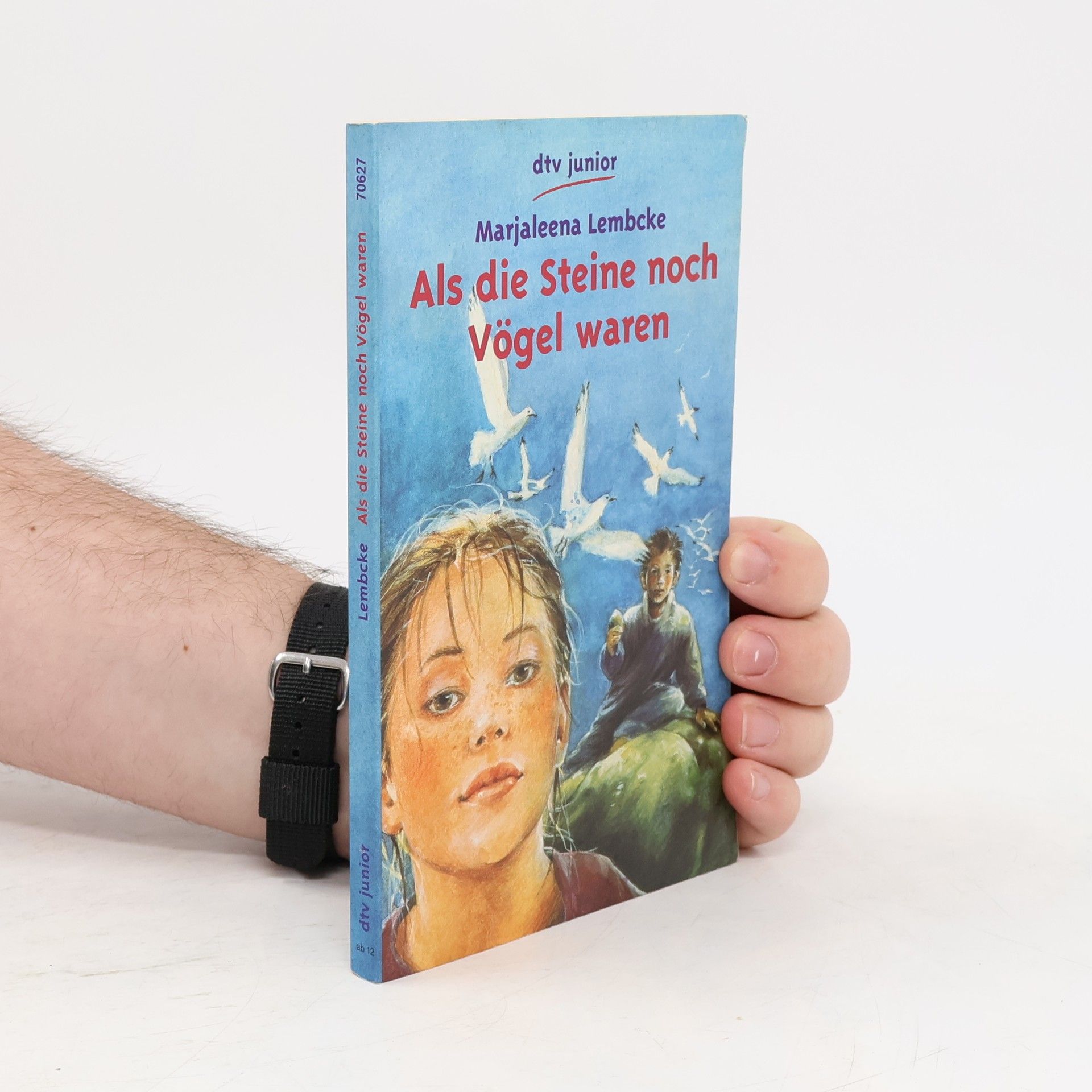 Marjaleena Lembcke Als die Steine noch Vögel waren