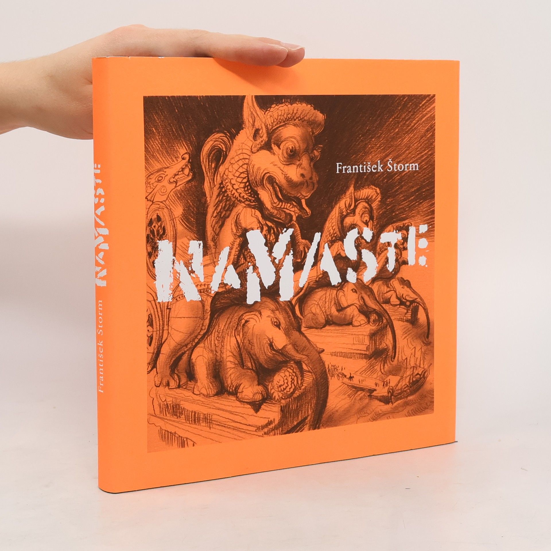 František Štorm Namaste