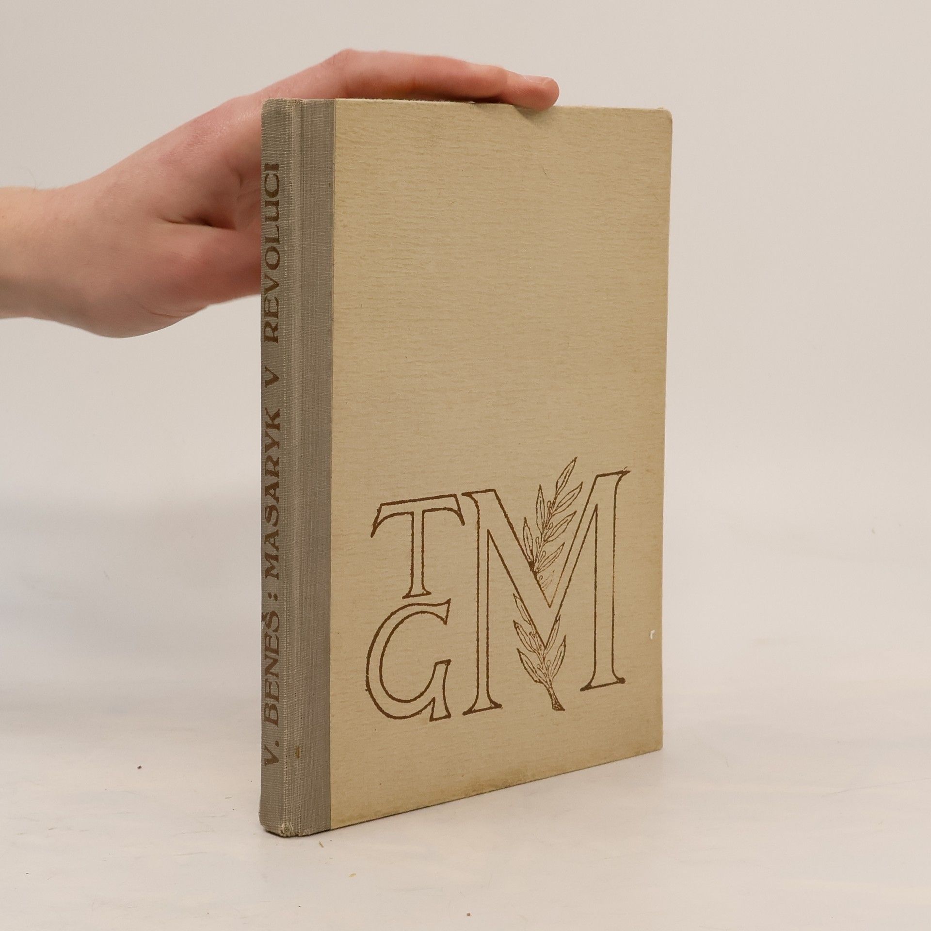 Vojta Beneš Masaryk v revoluci