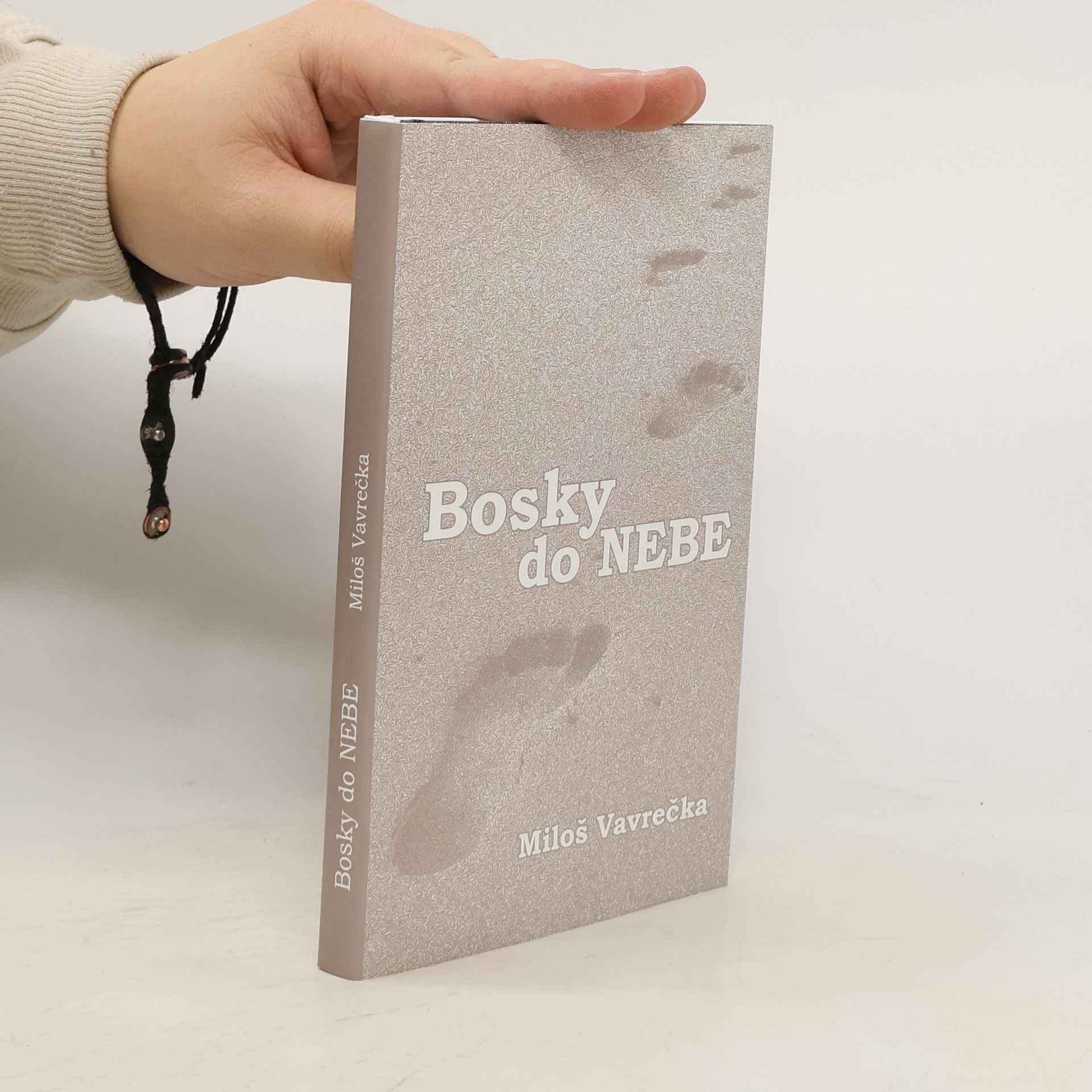 Miloš Vavrečka Bosky do nebe