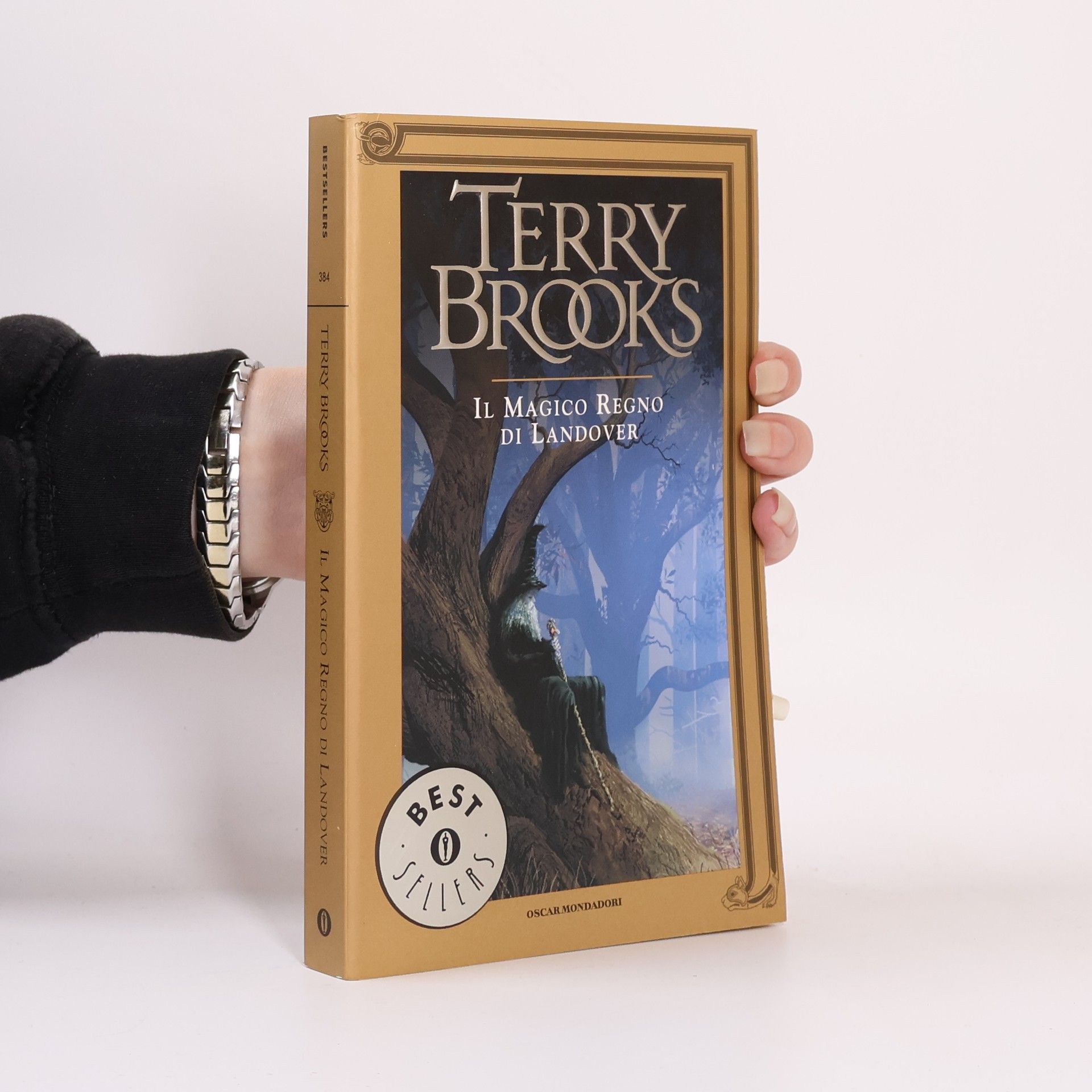 Terry Brooks Ciclo di Landover - 1: Il magico regno di Landover