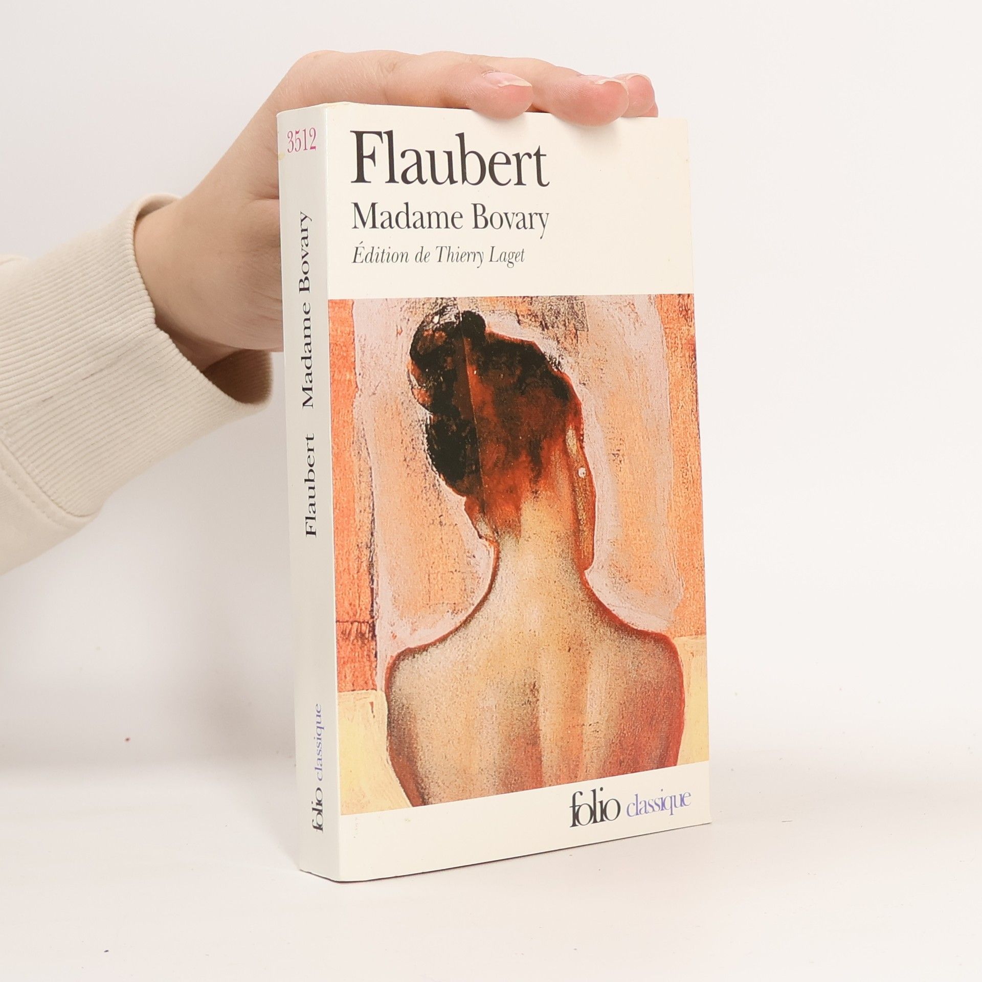 Gustave Flaubert Madame Bovary