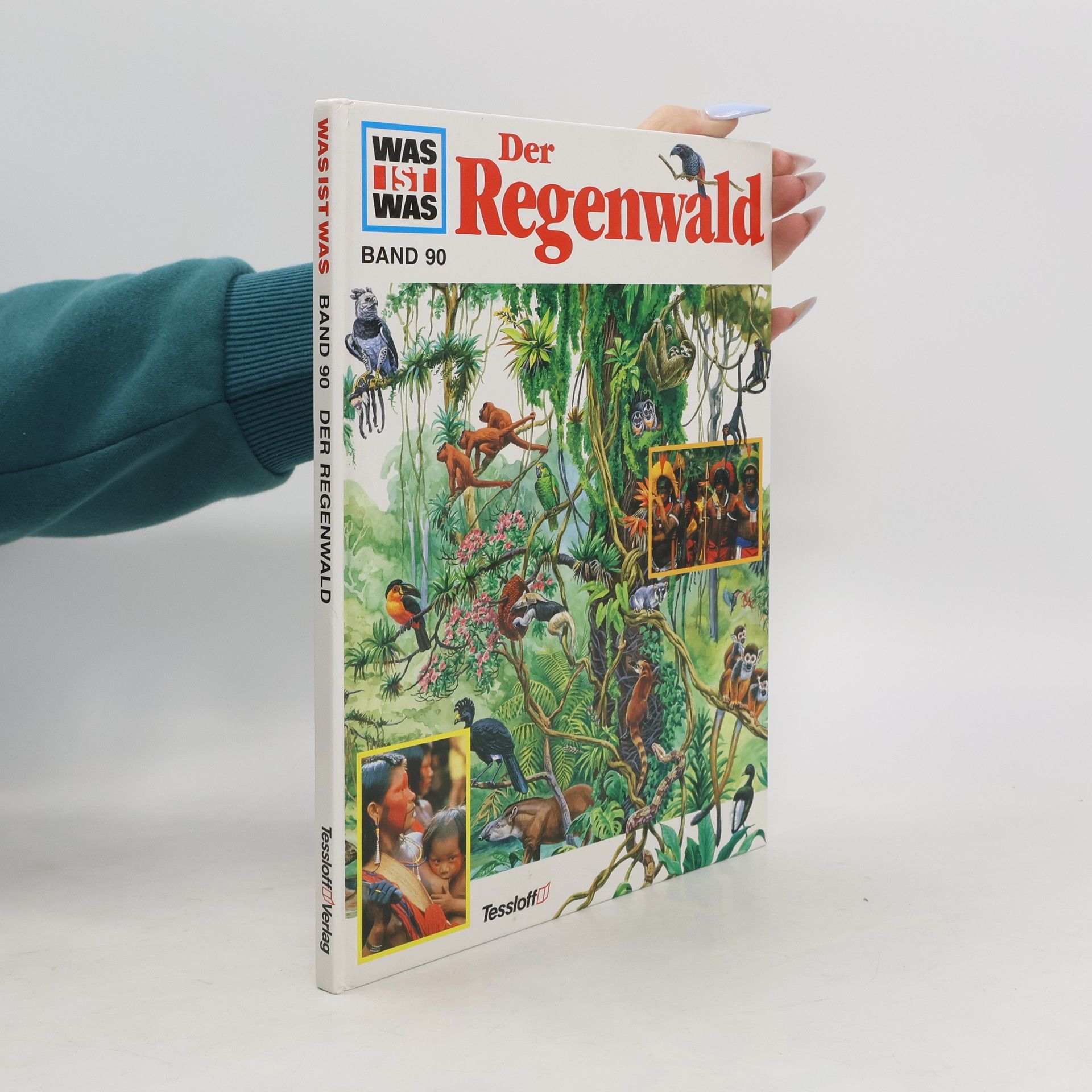 Andrea Mertiny Der Regenwald