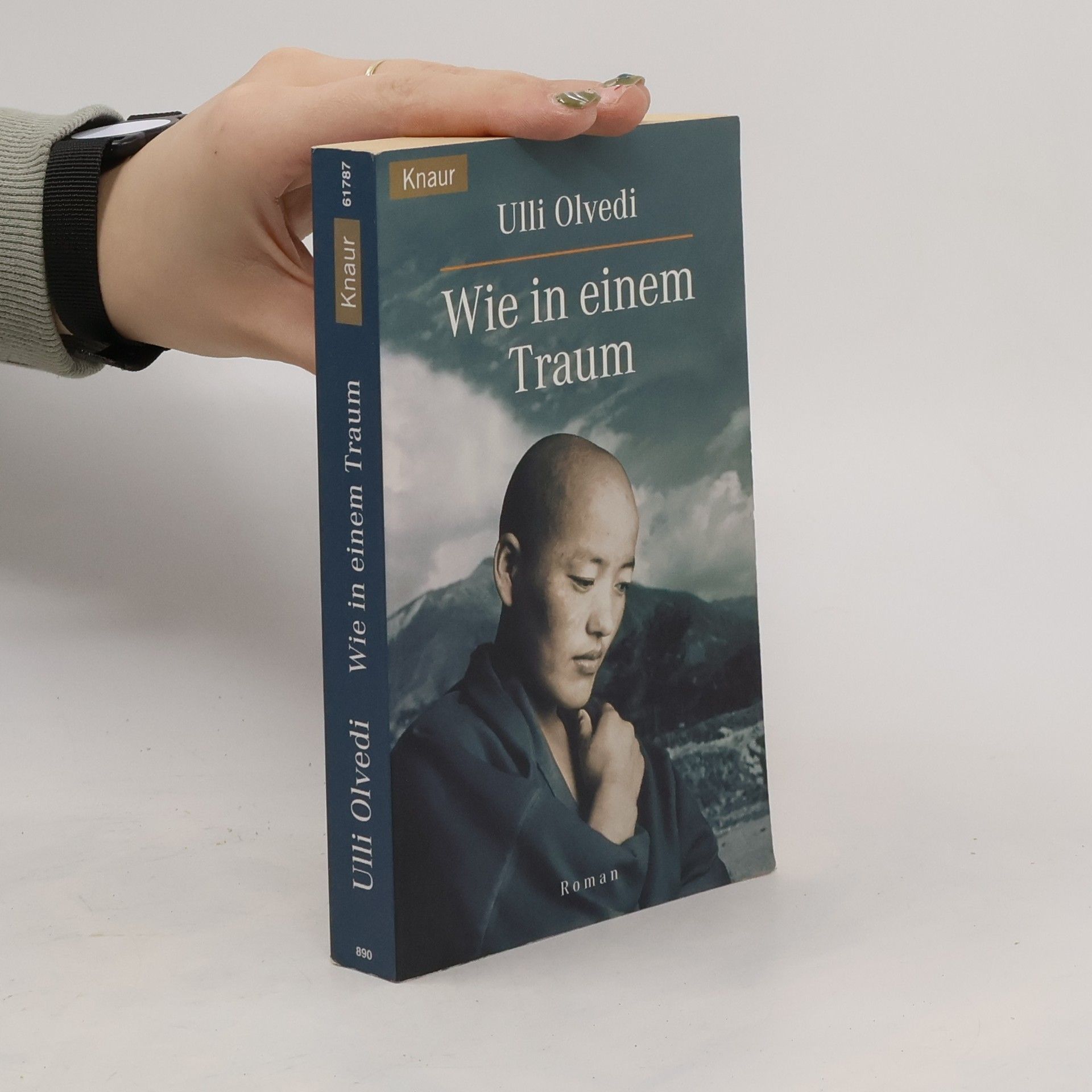 Ulli Olvedi Wie in einem Traum