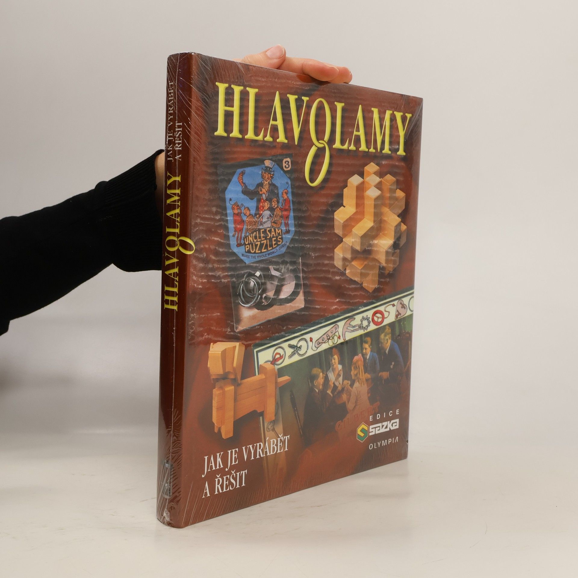 AA.VV. Hlavolamy. Jak je vyrábět a řešit