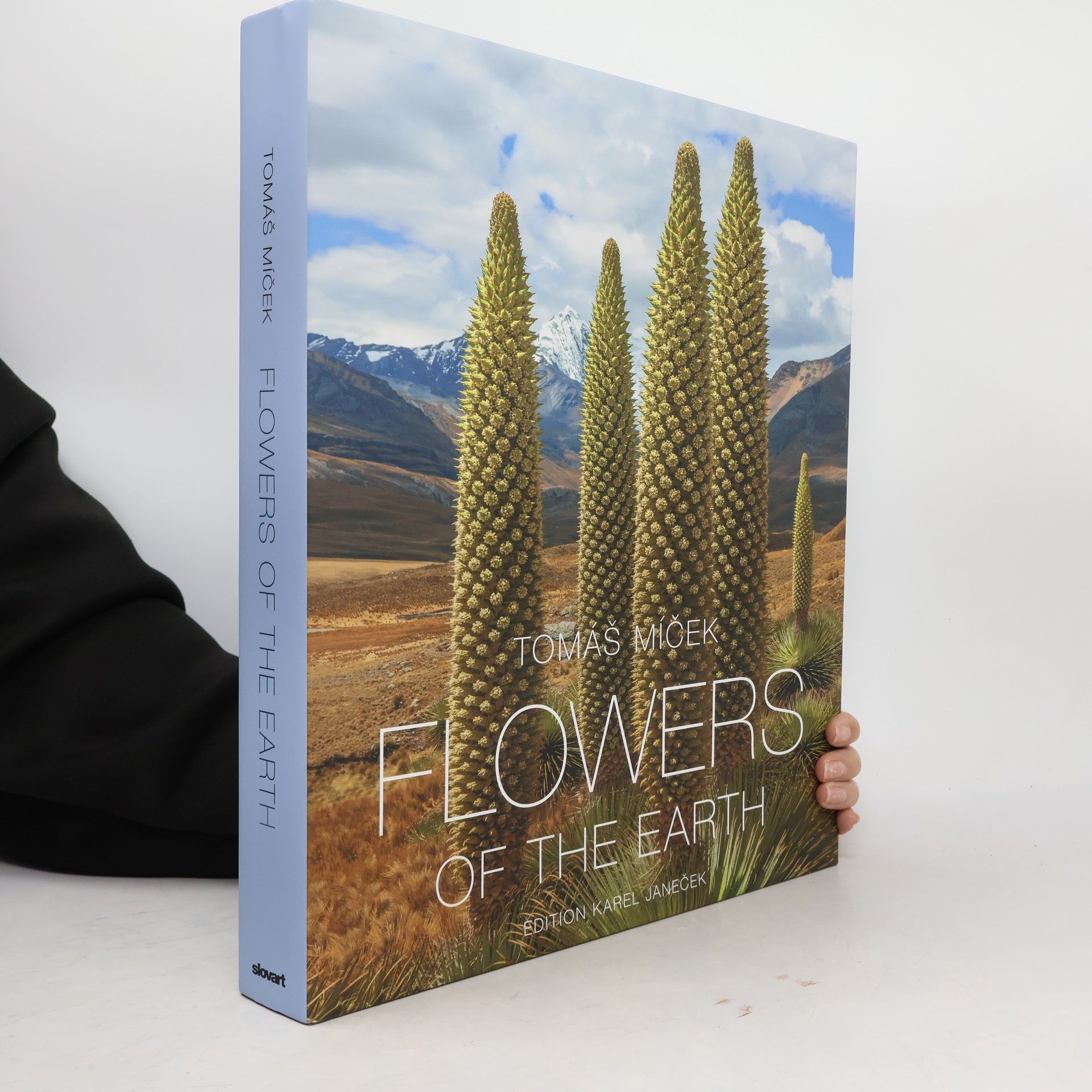 Hubert Čížek Blüten Der Erde