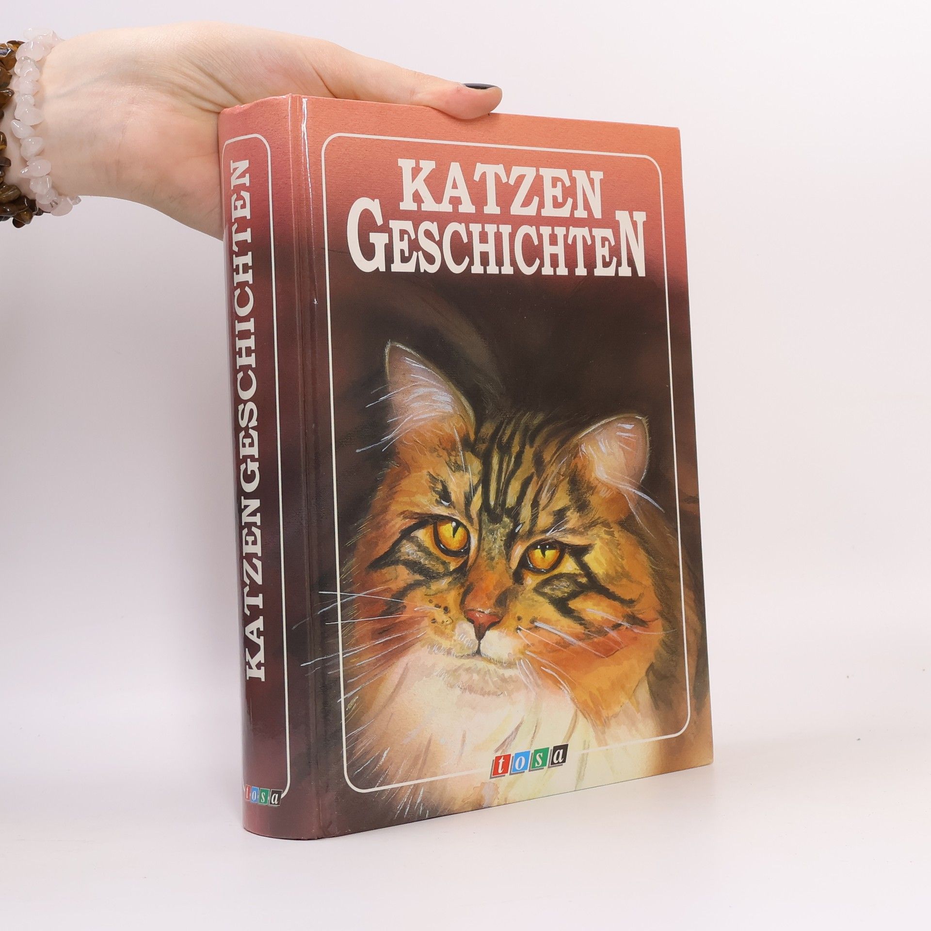 Kolektív autorov Katzengeschichten