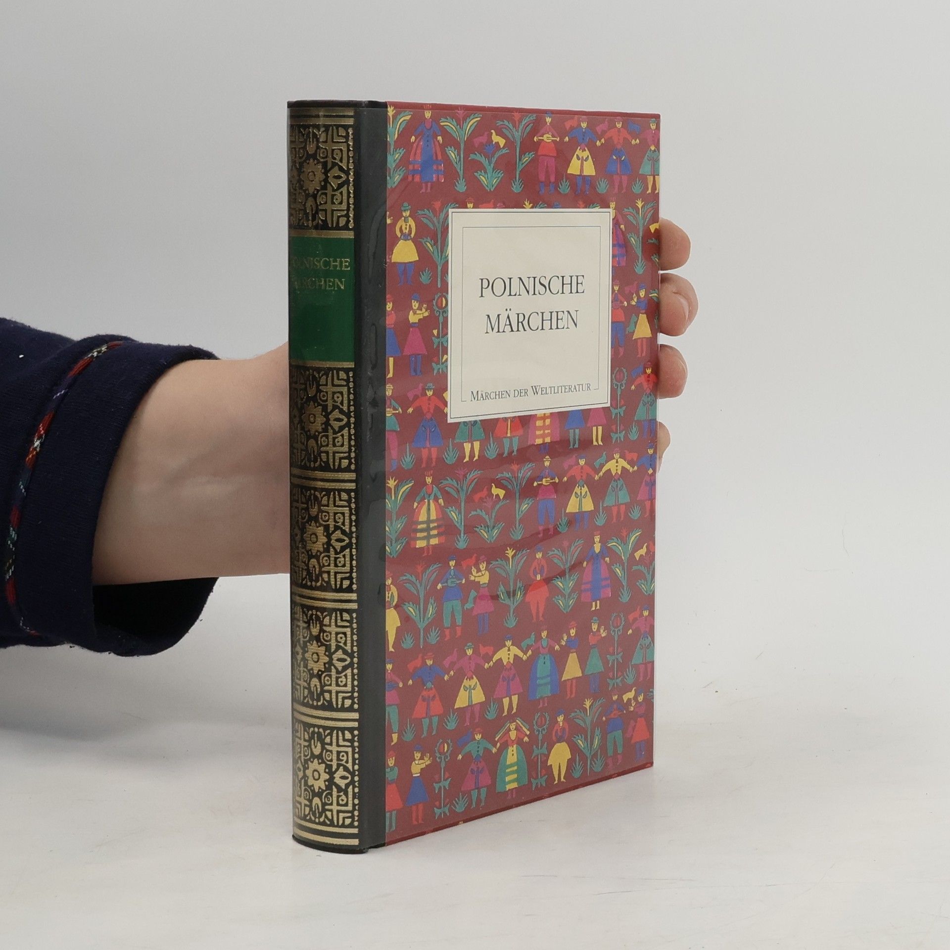 Kolektiv autorů Polnische Märchen