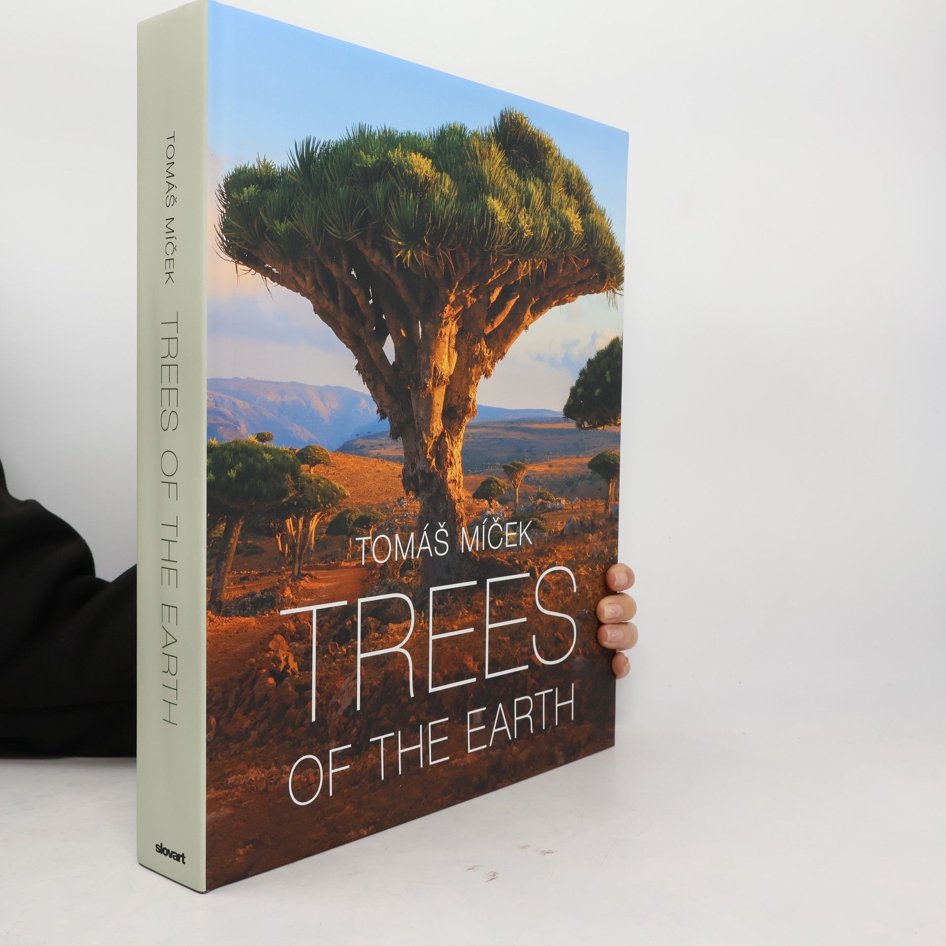 Tomáš Míček Trees of the Earth