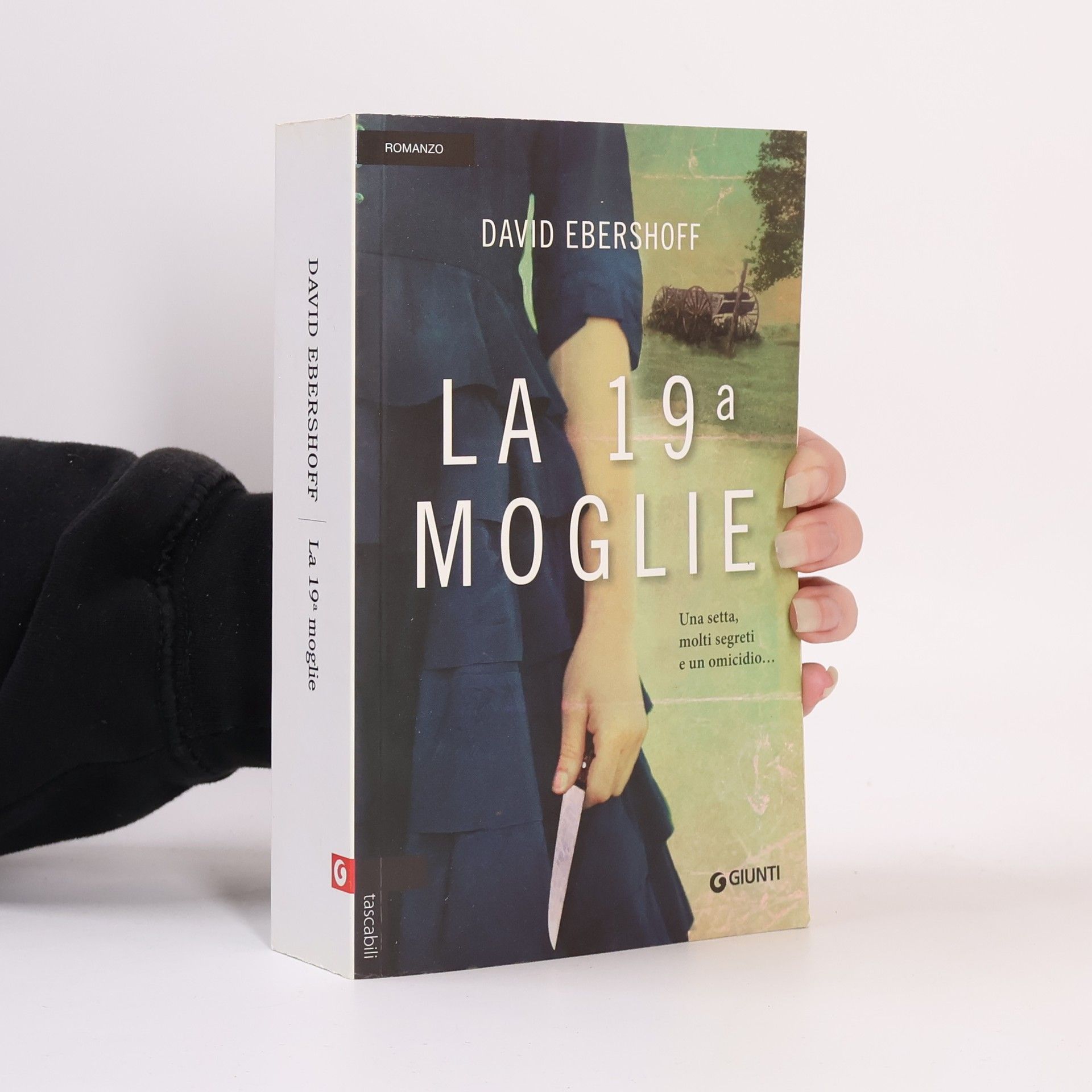 David Ebershoff La 19a moglie