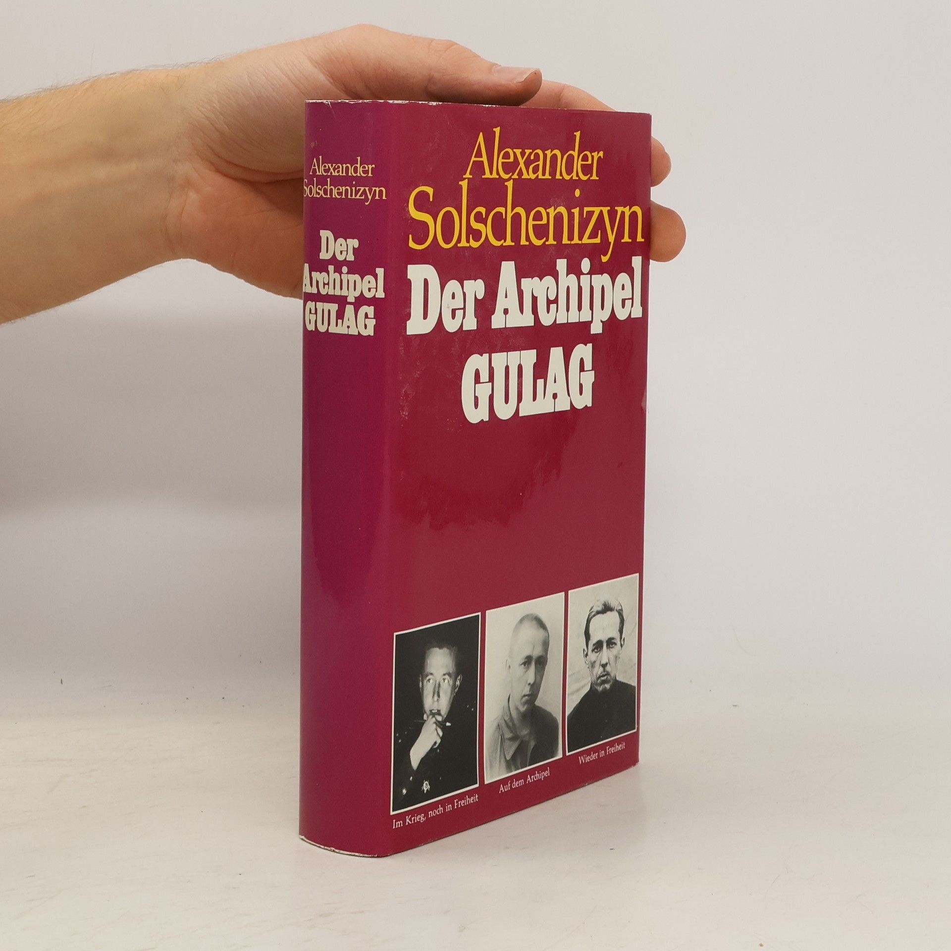 Aleksandr Solzhenitsyn Der Archipel Gulag