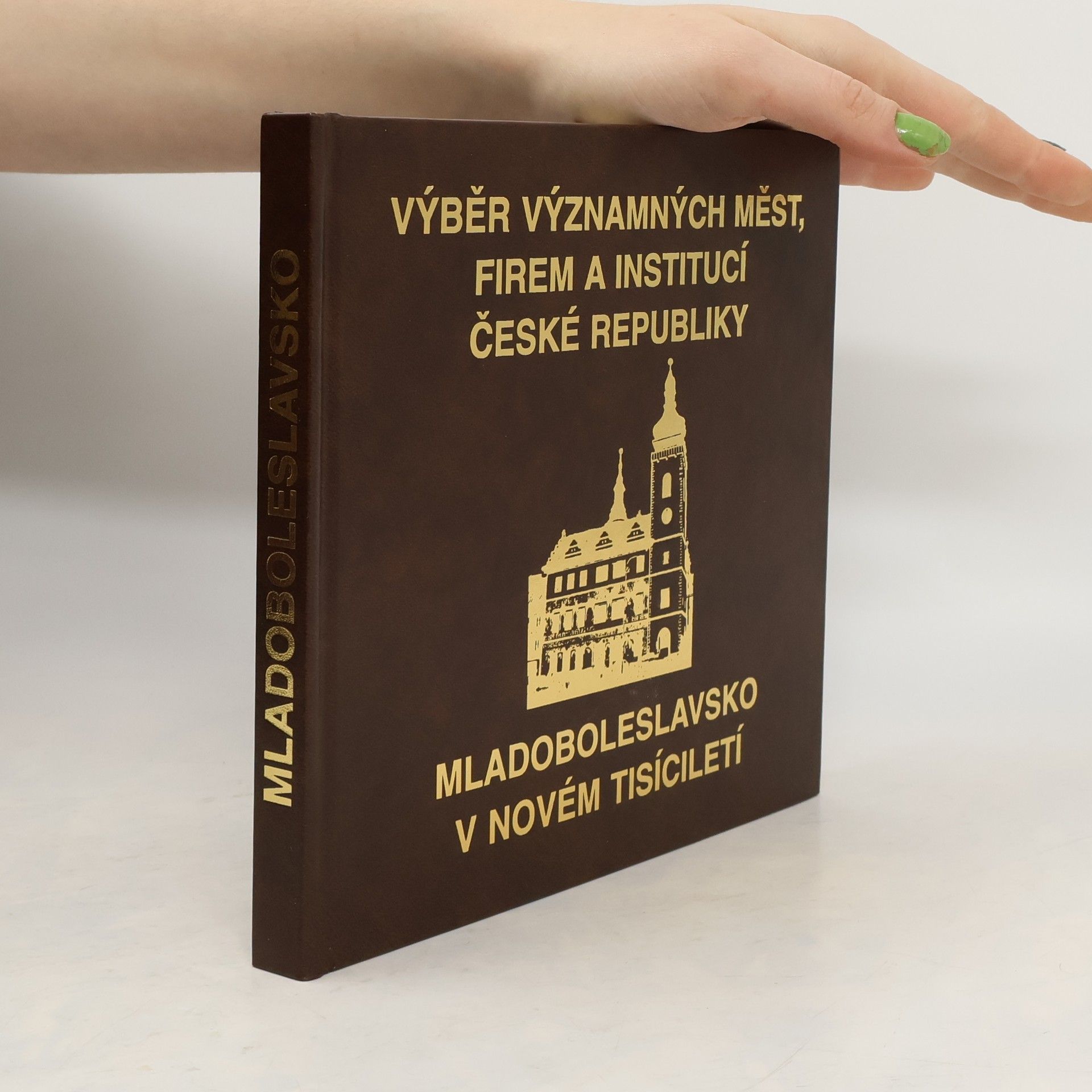 Autorenkollektiv Výběr významných měst, firem a institucí České republiky