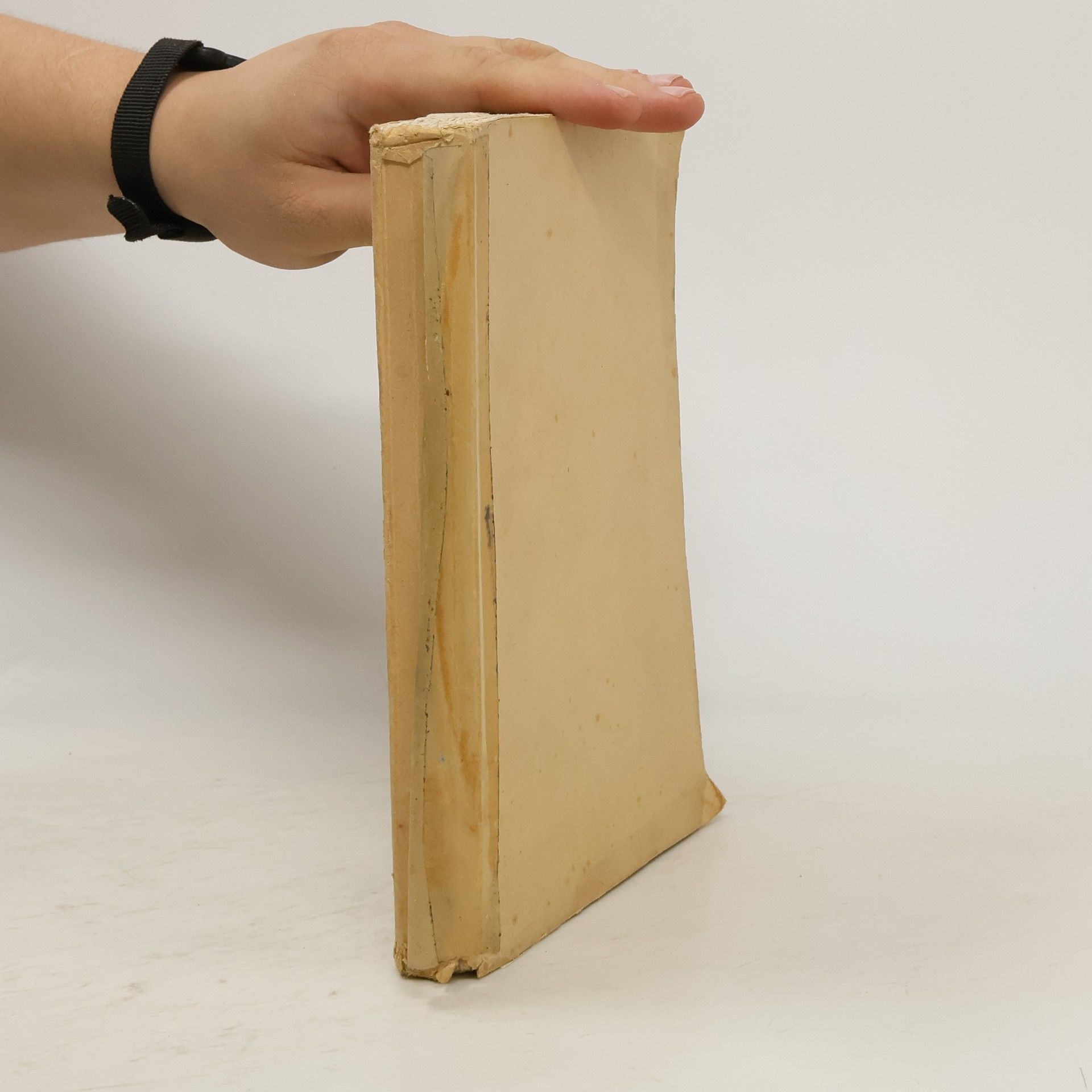 Karel Havlíček Borovský Plamenem veselým