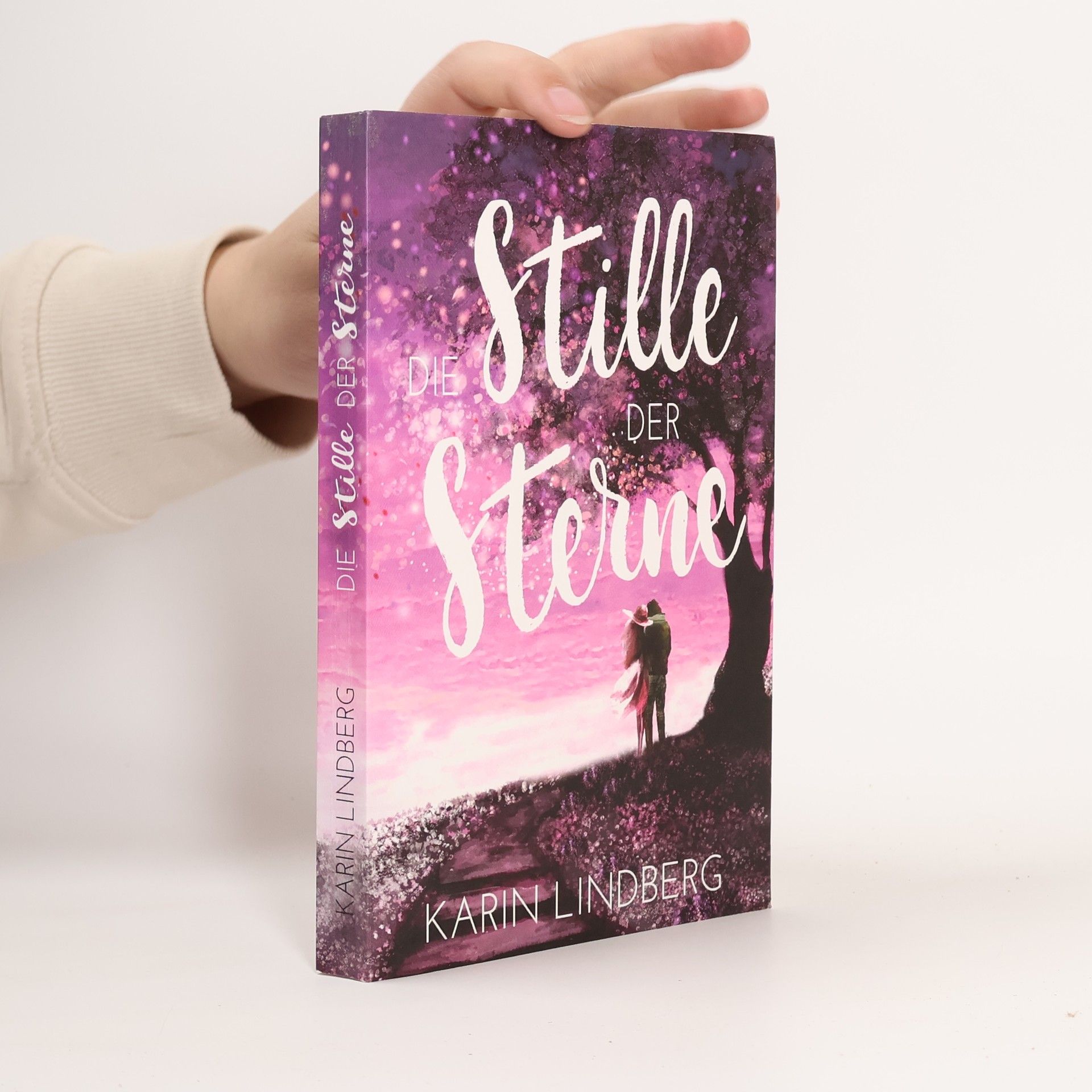 Karin Lindberg Die Stille der Sterne