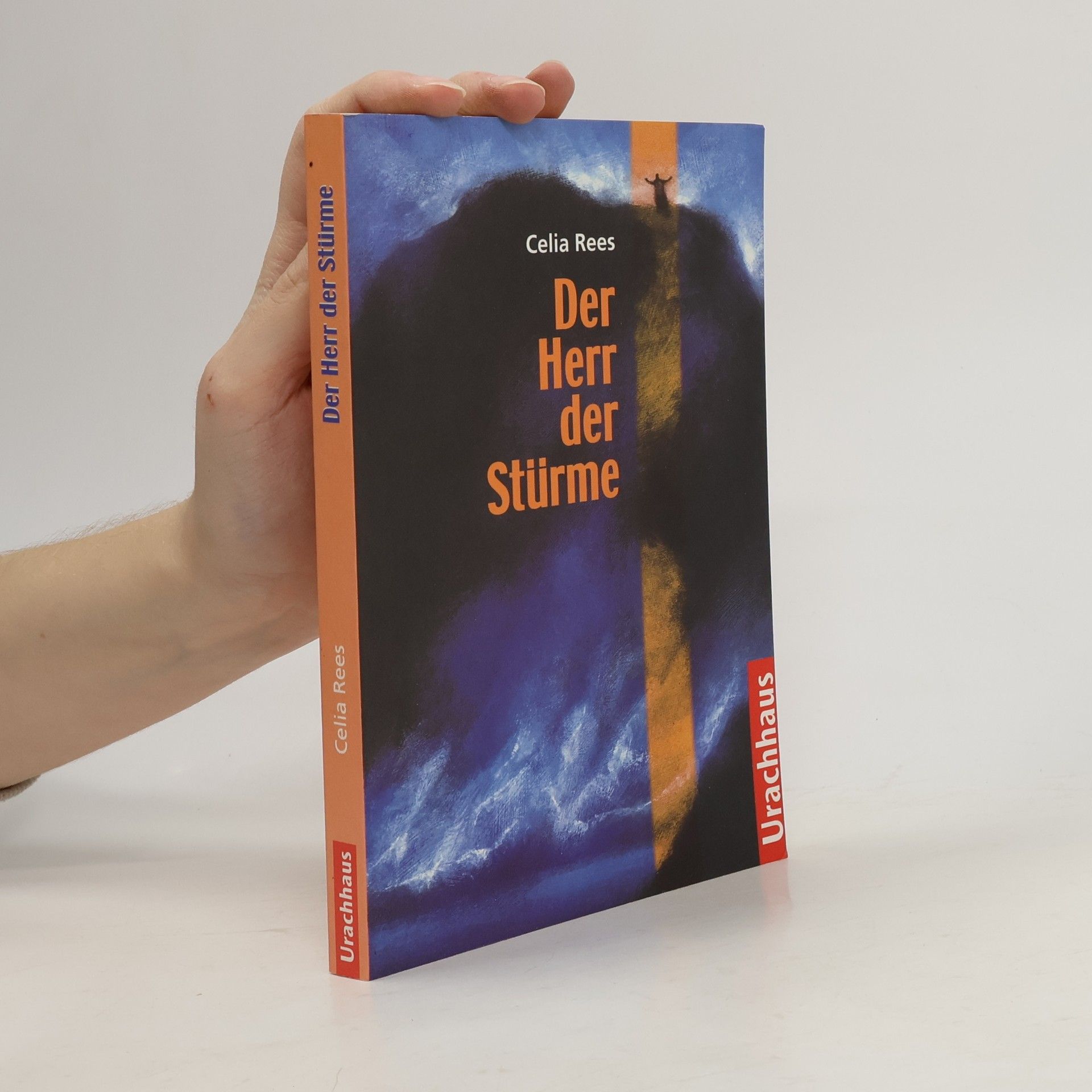 Celia Rees Der Herr der Stürme