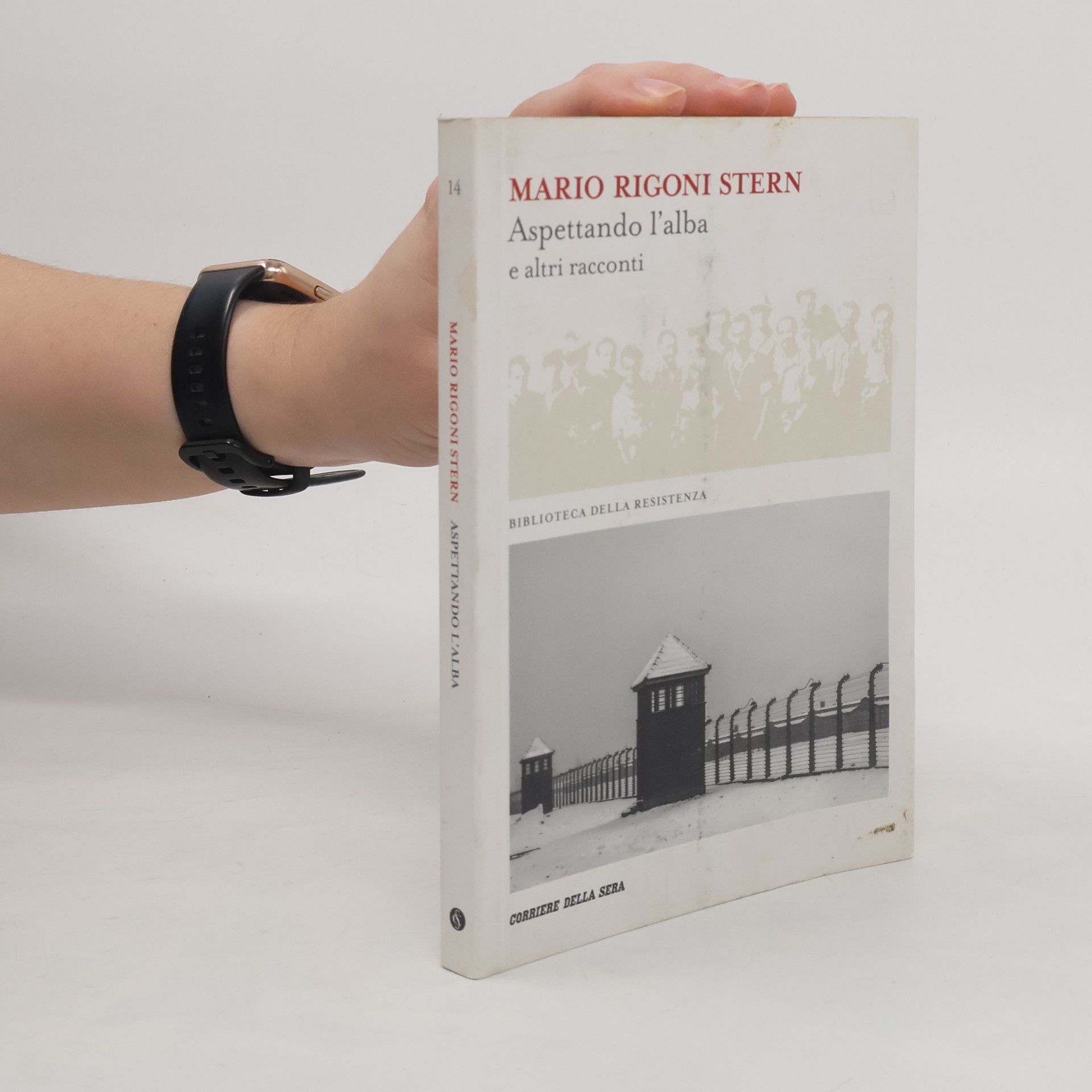 Mario Rigoni Stern Aspettando l'alba e altri racconti