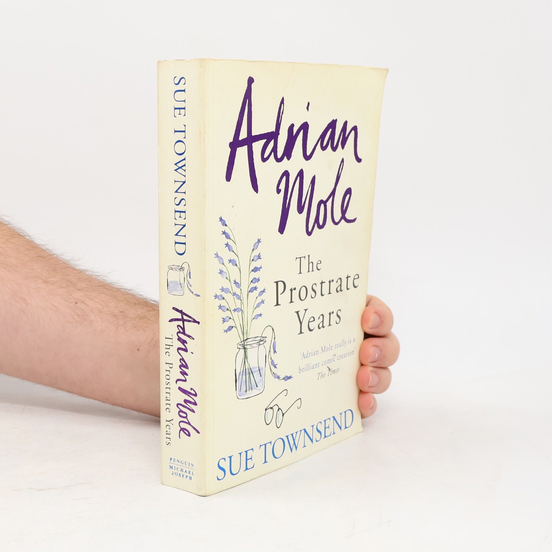 Sue Townsend Adrian Mole: The Prostrate Years