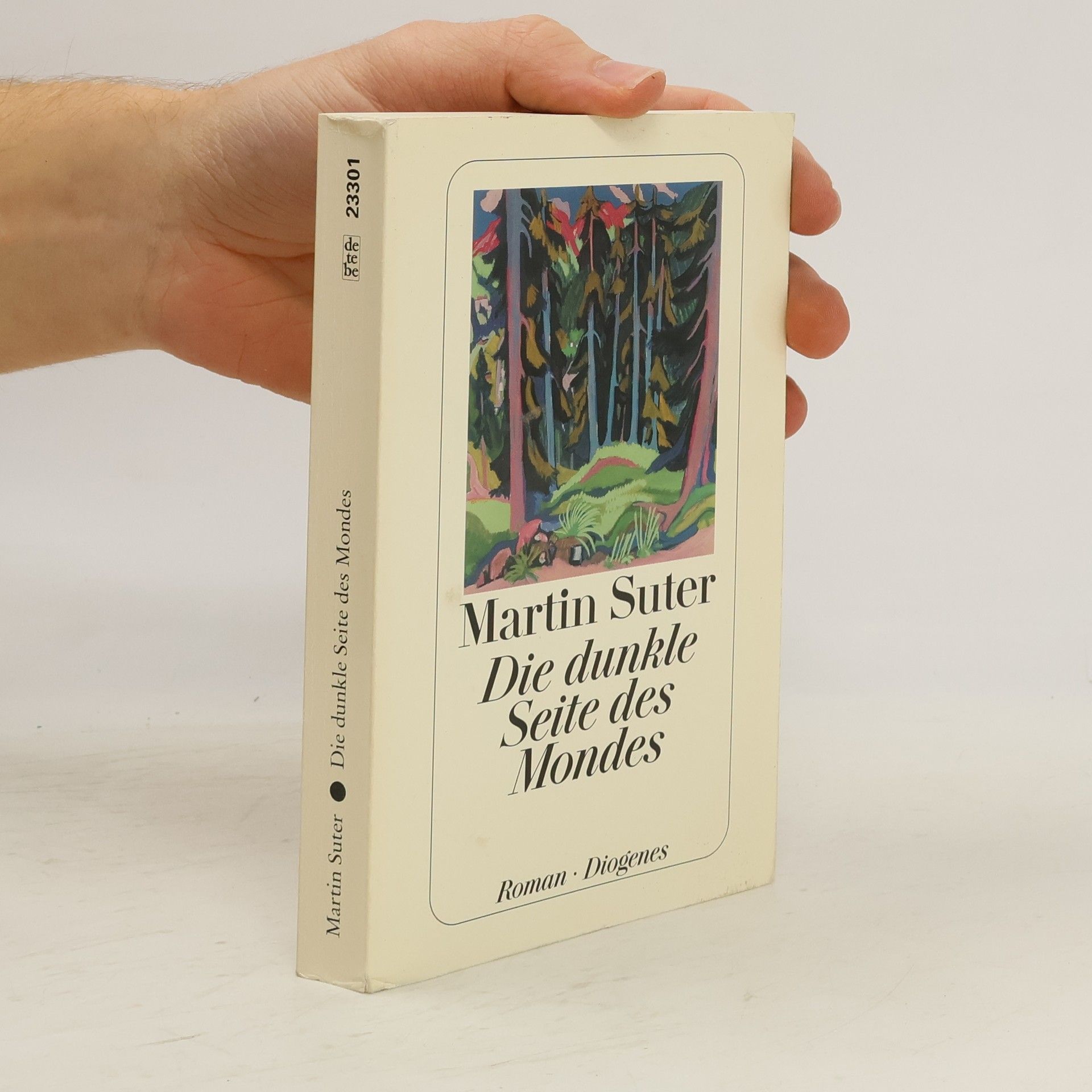 Die dunkle Seite des Mondes