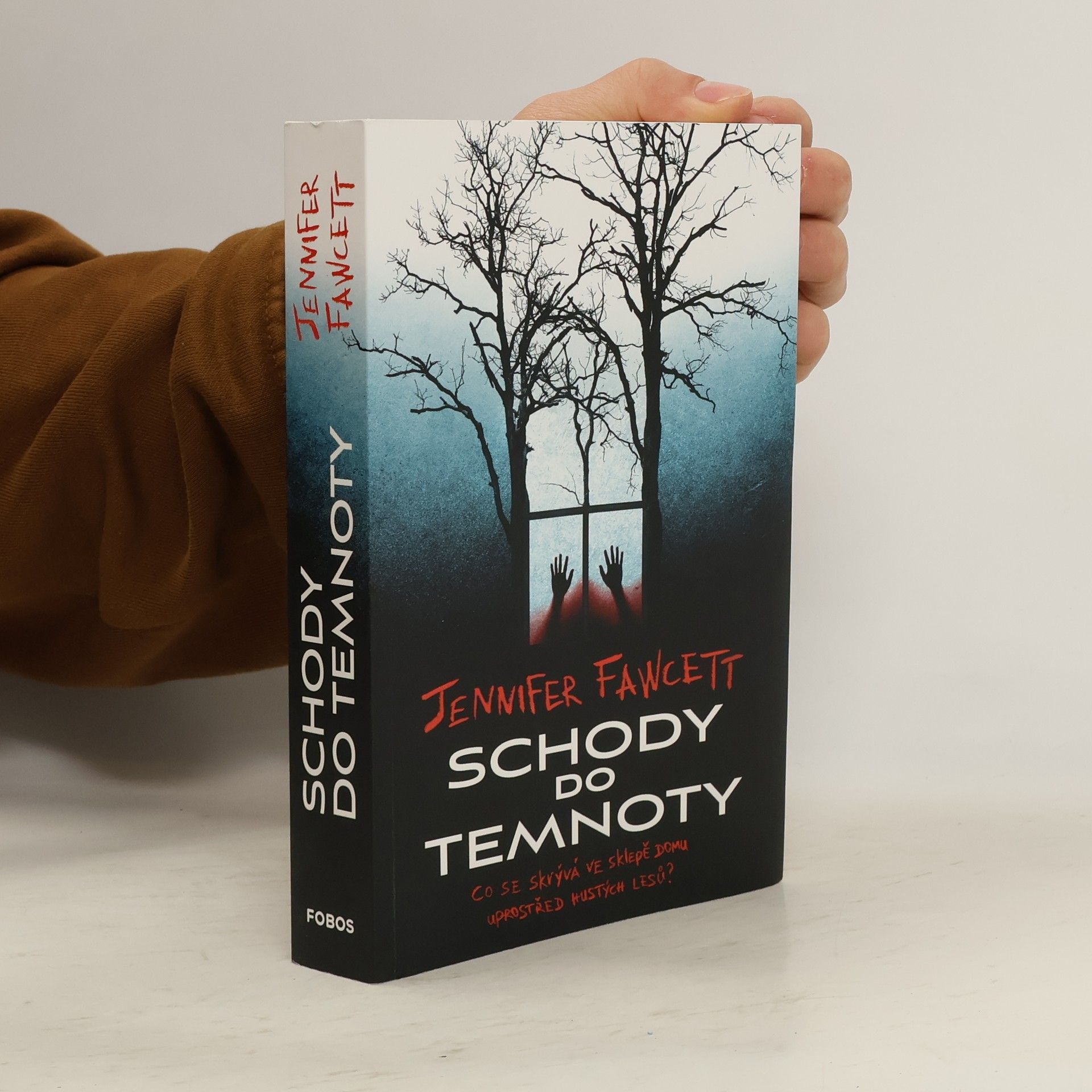 Jennifer Fawcett Schody do temnoty