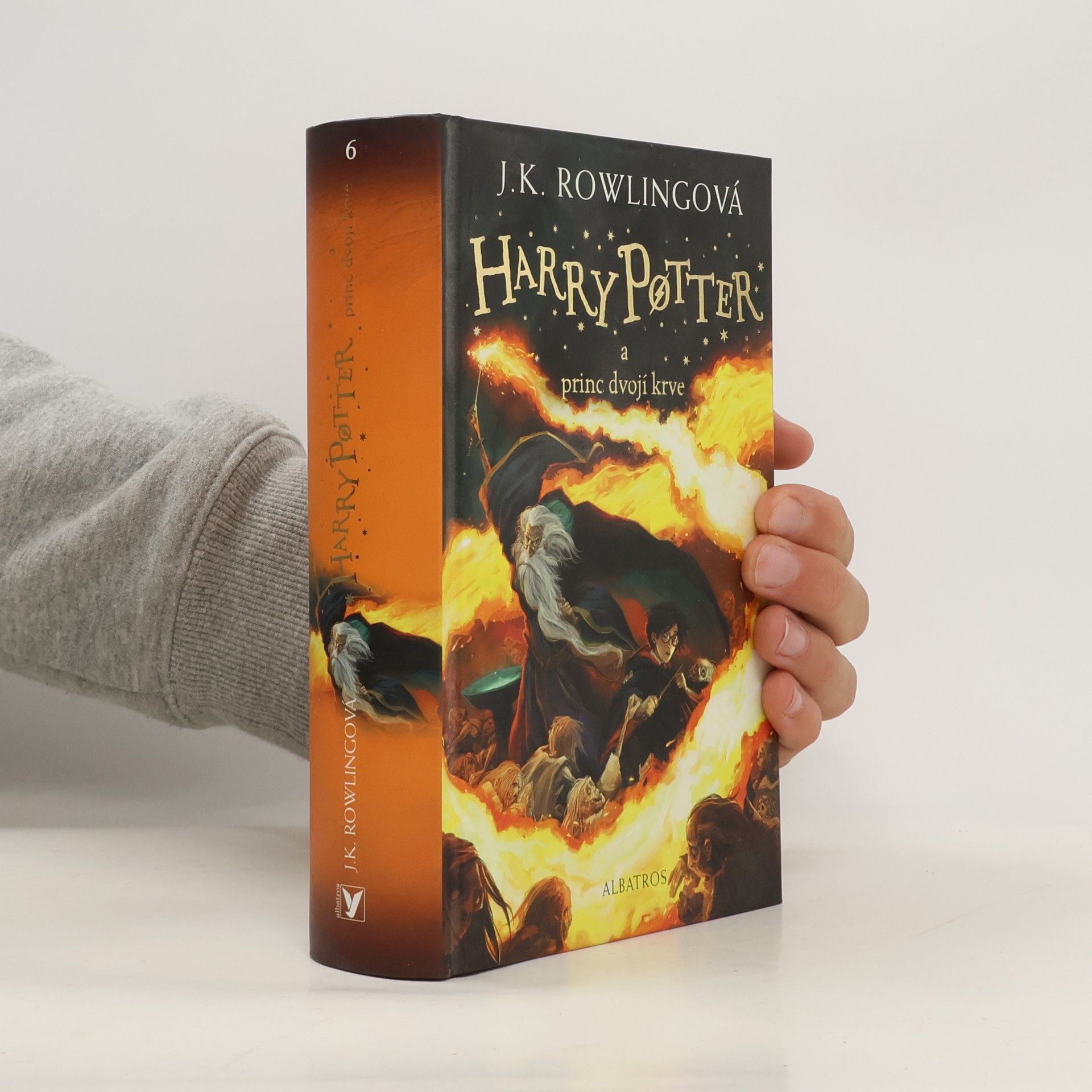 Pavel Medek Harry Potter a princ dvojí krve