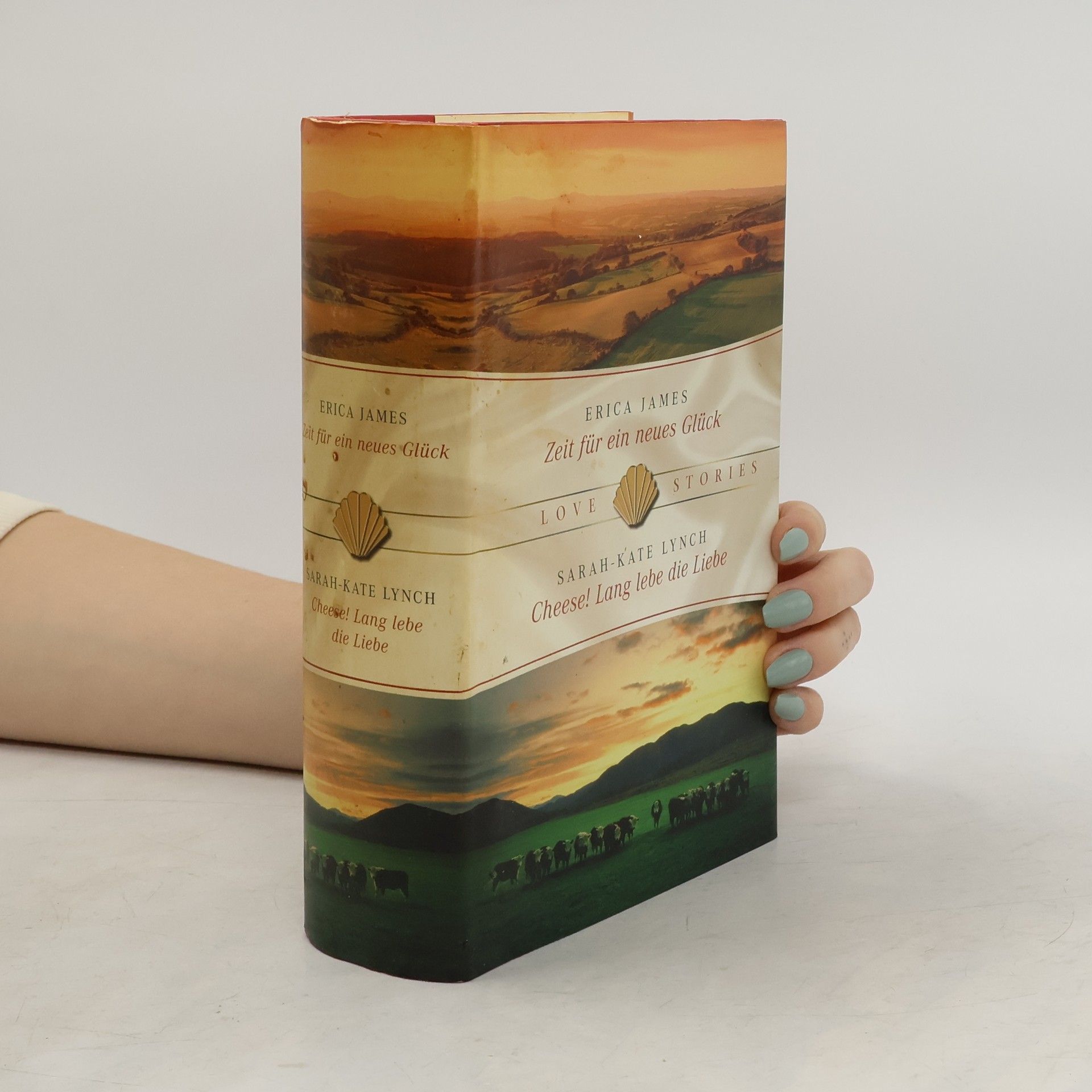 Zeit für ein neues Glück, Cheese! Lang lebe die Liebe