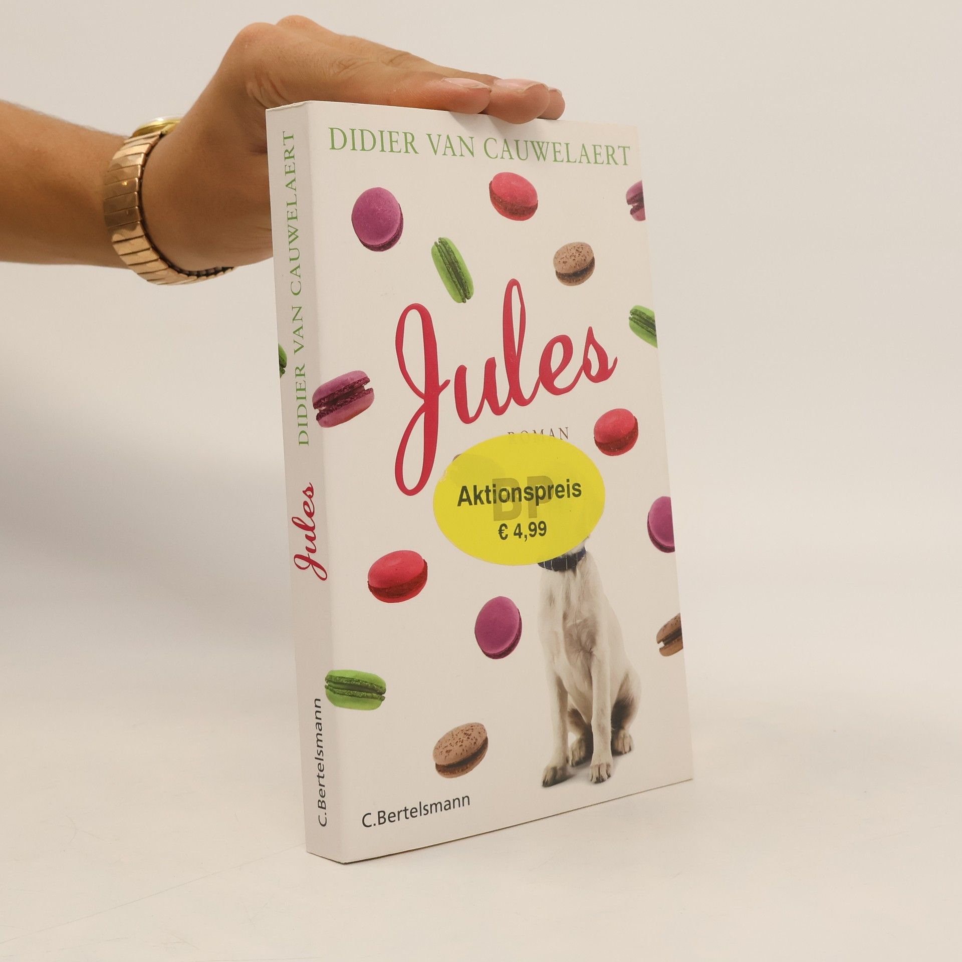 Didier van Cauwelaert Jules