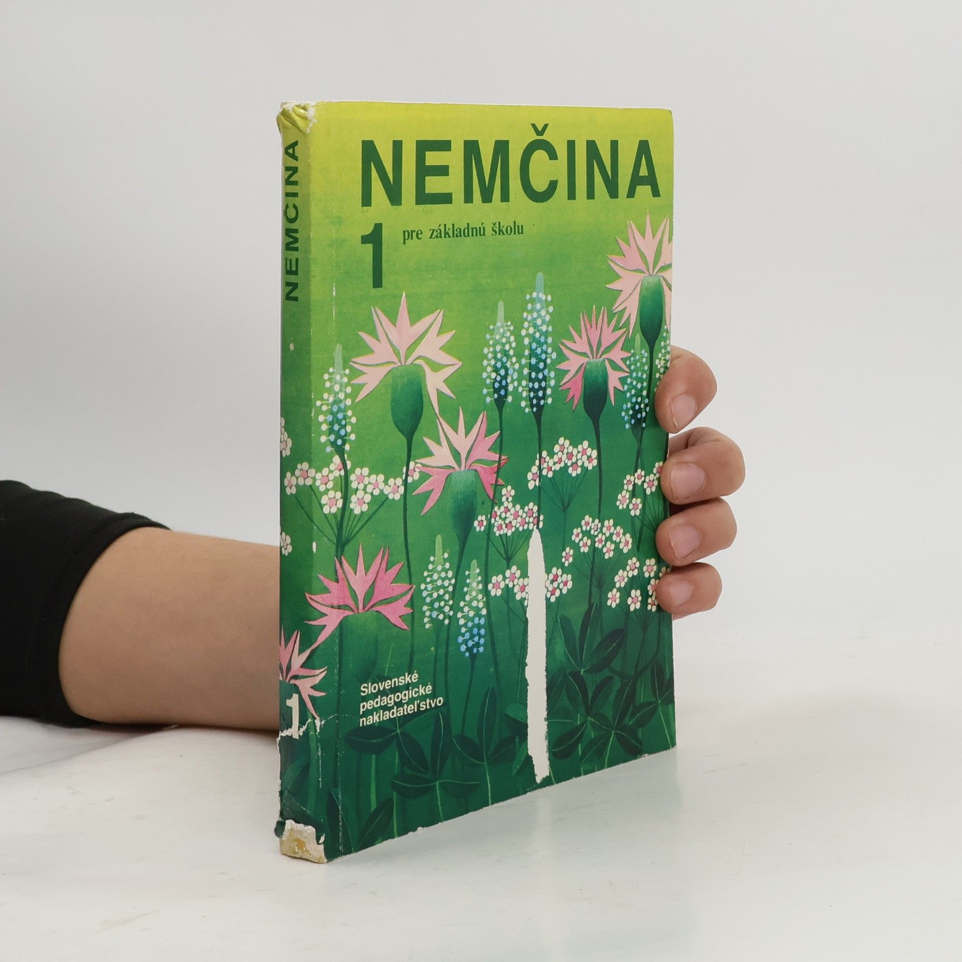Collectif d'auteurs Nemčina