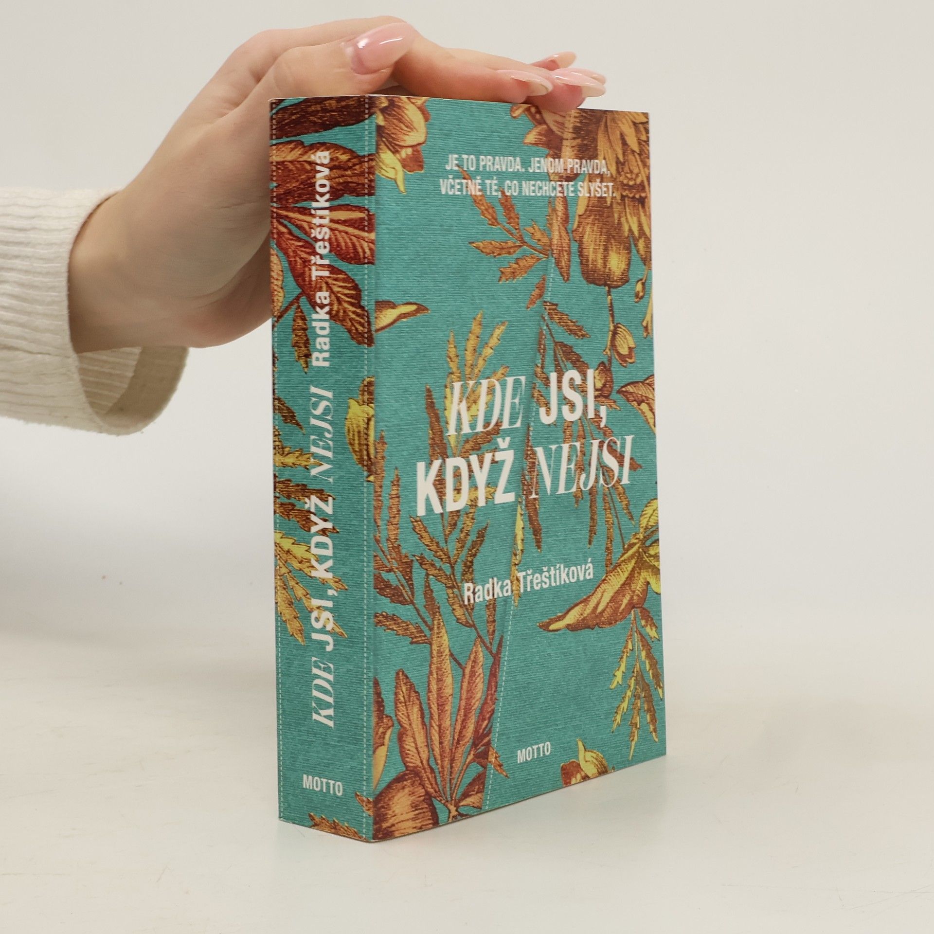 Radka Třeštíková Kde jsi, když nejsi