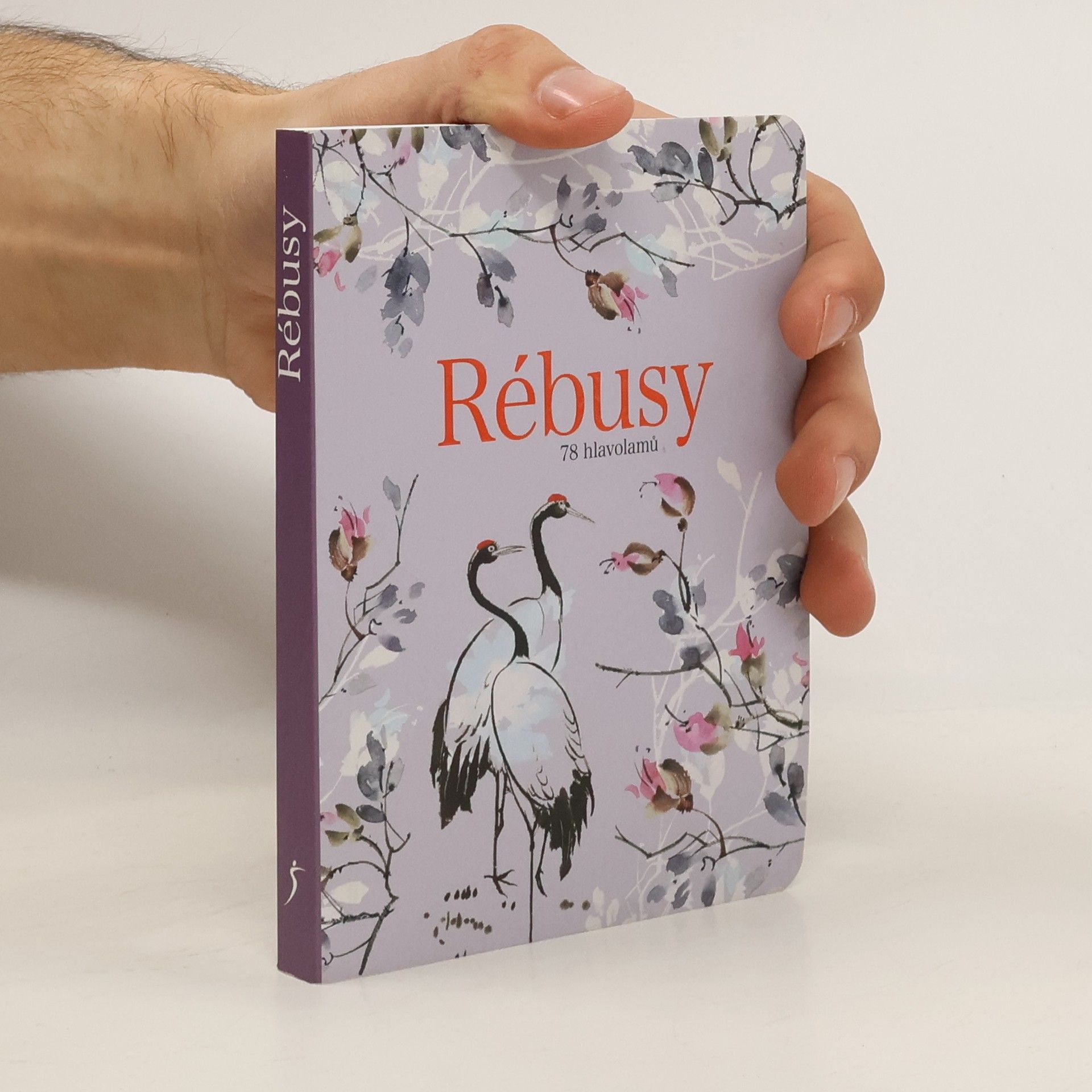 Rébusy : 78 hlavolamů do kapsy