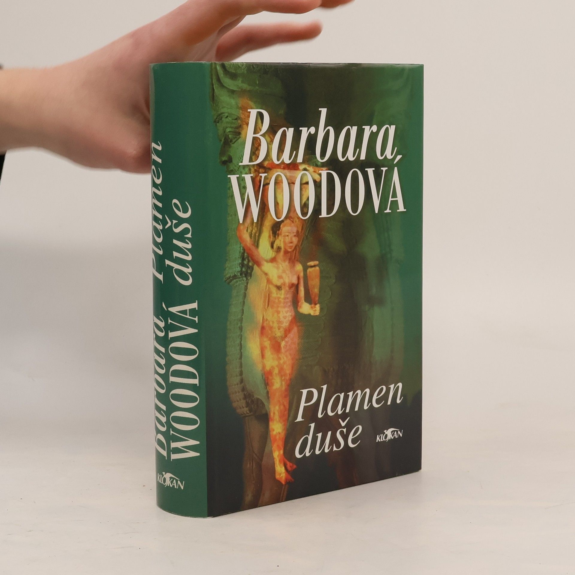 Barbara Wood Plamen duše