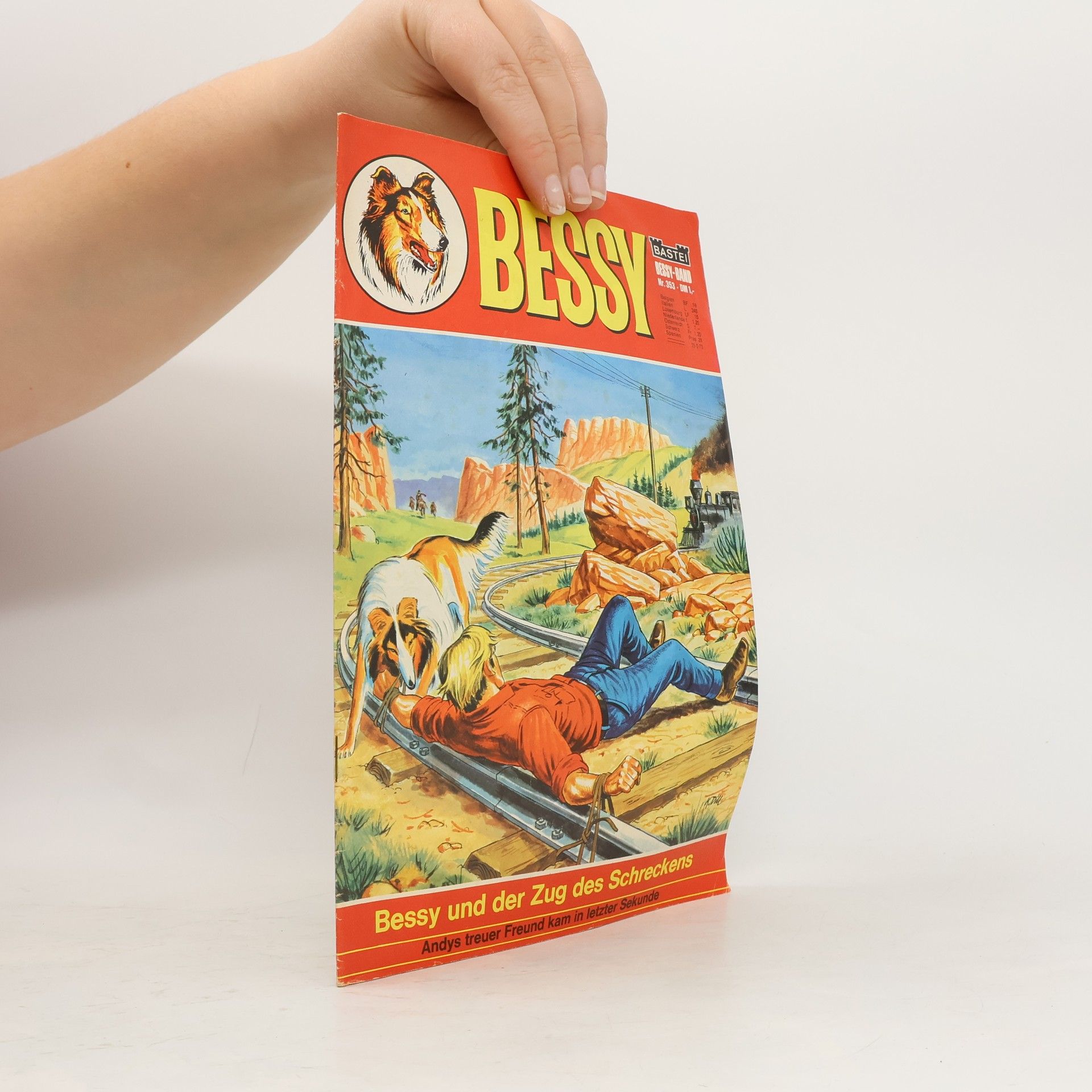 Kolektiv autorů Bessy Nr. 353