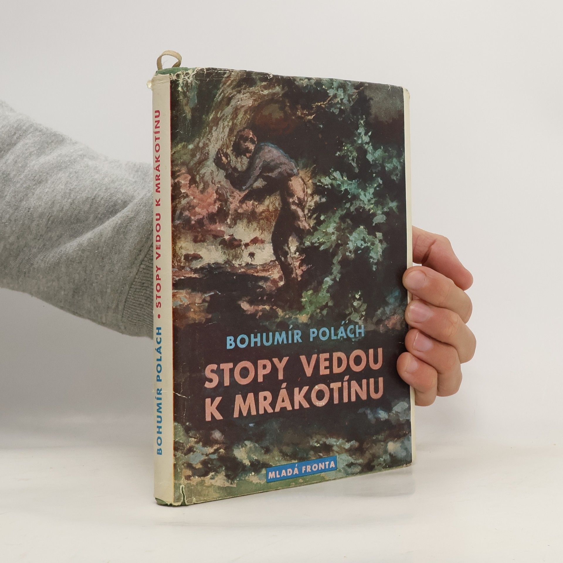 Stopy vedou k Mrákotínu