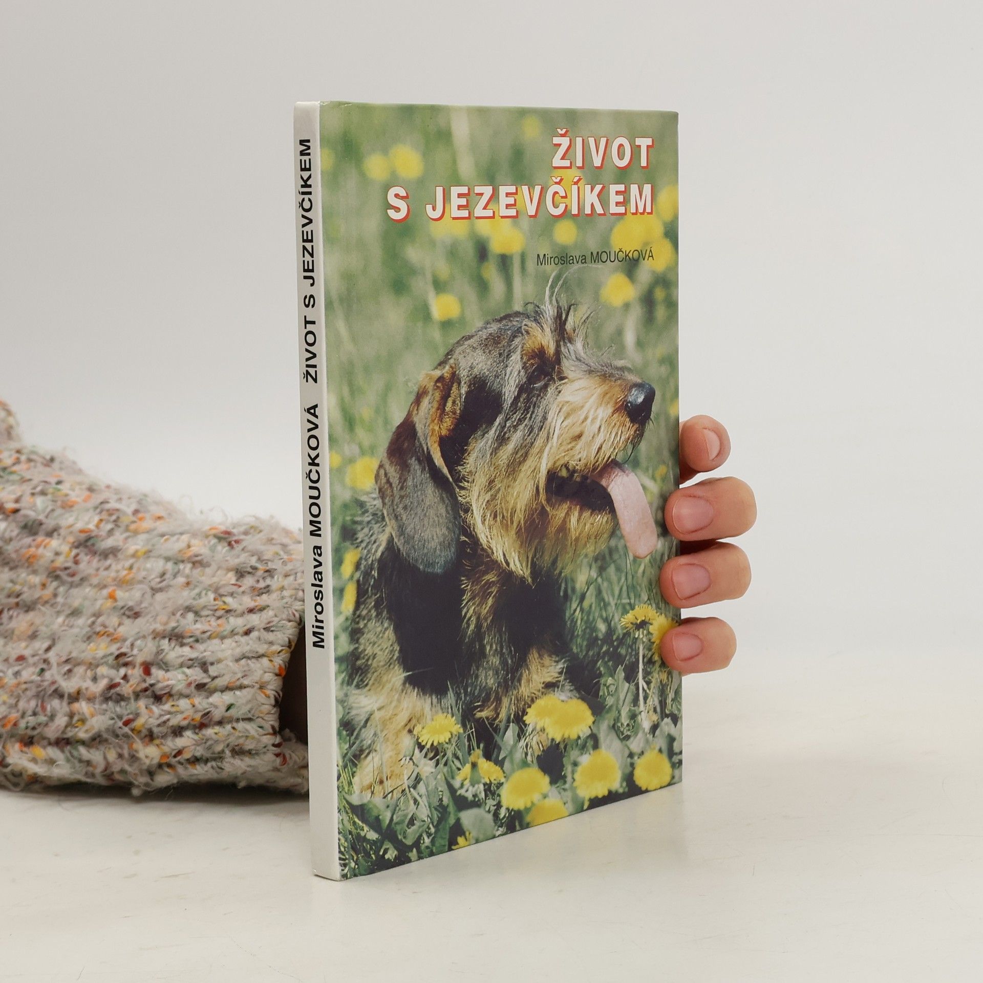 Život s jezevčíkem