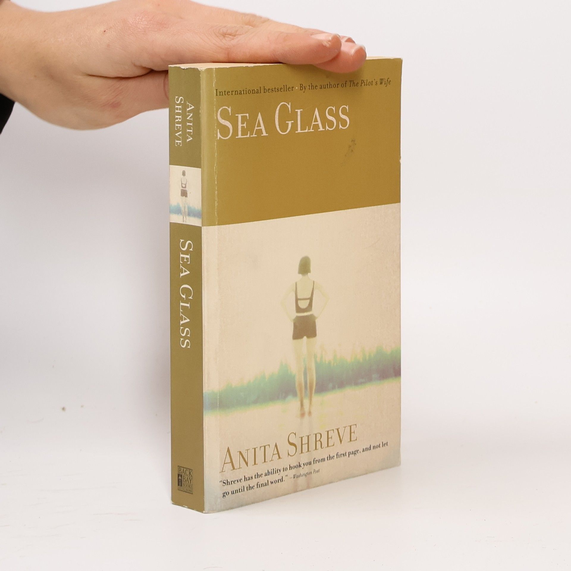 Anita Shreve Sea Glass