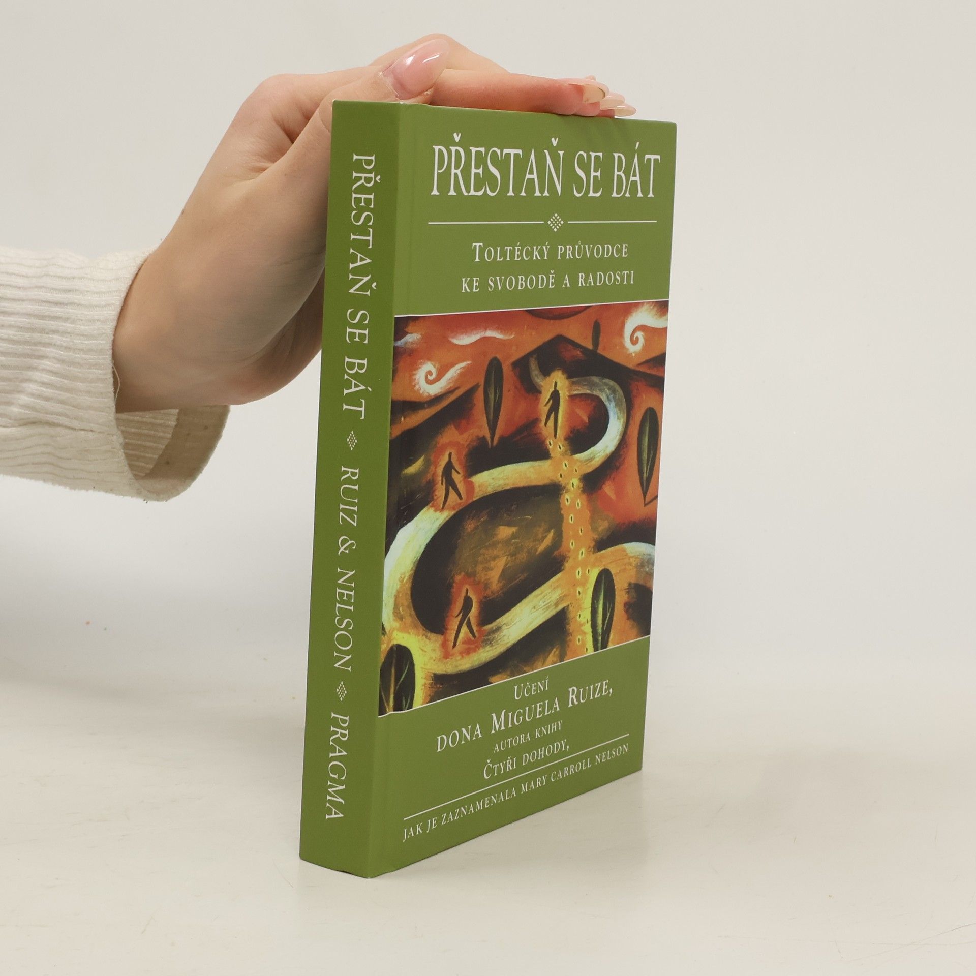 Mary Carroll Nelson Přestaň se bát