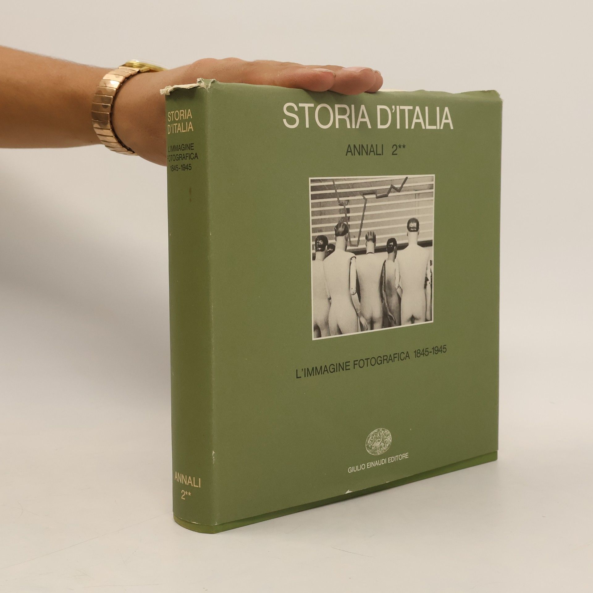 Giulio Bollati Storia d'Italia, Annali 2. L'immagine fotografica 1845-1945