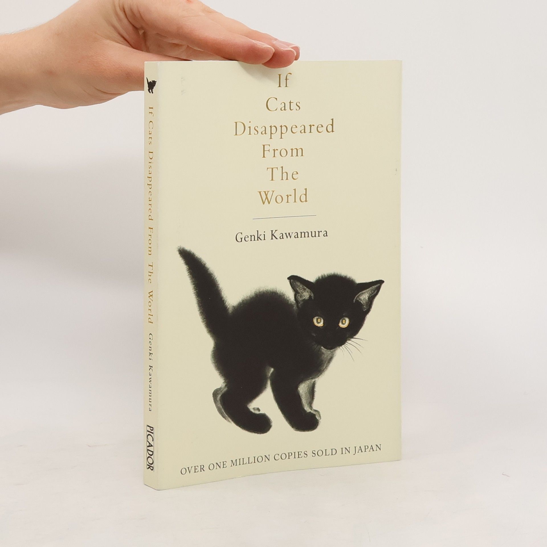 Genki Kawamura If Cats Disappeared from the World