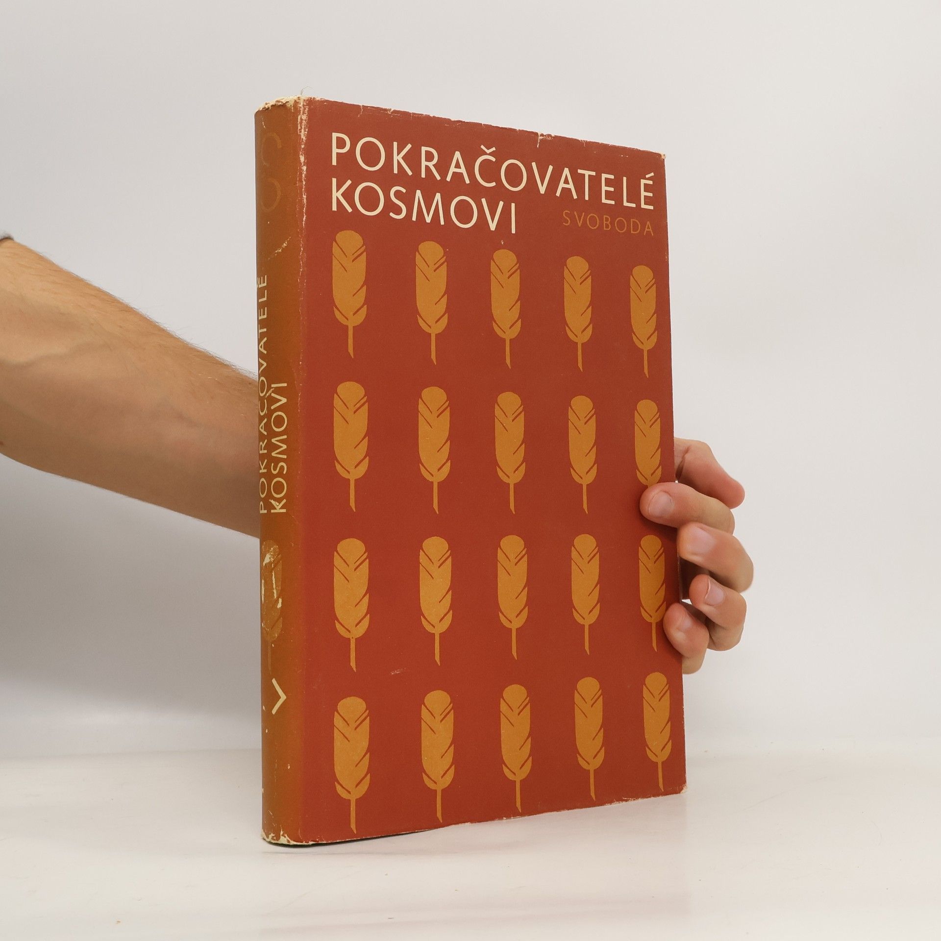 Pokračovatelé Kosmovi