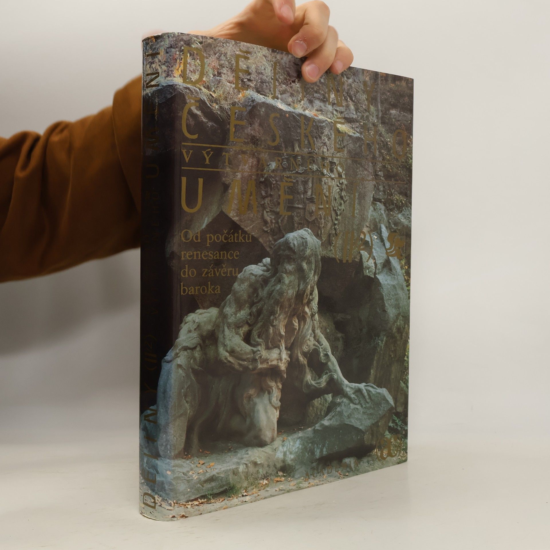 Dějiny českého výtvarného umění II/2