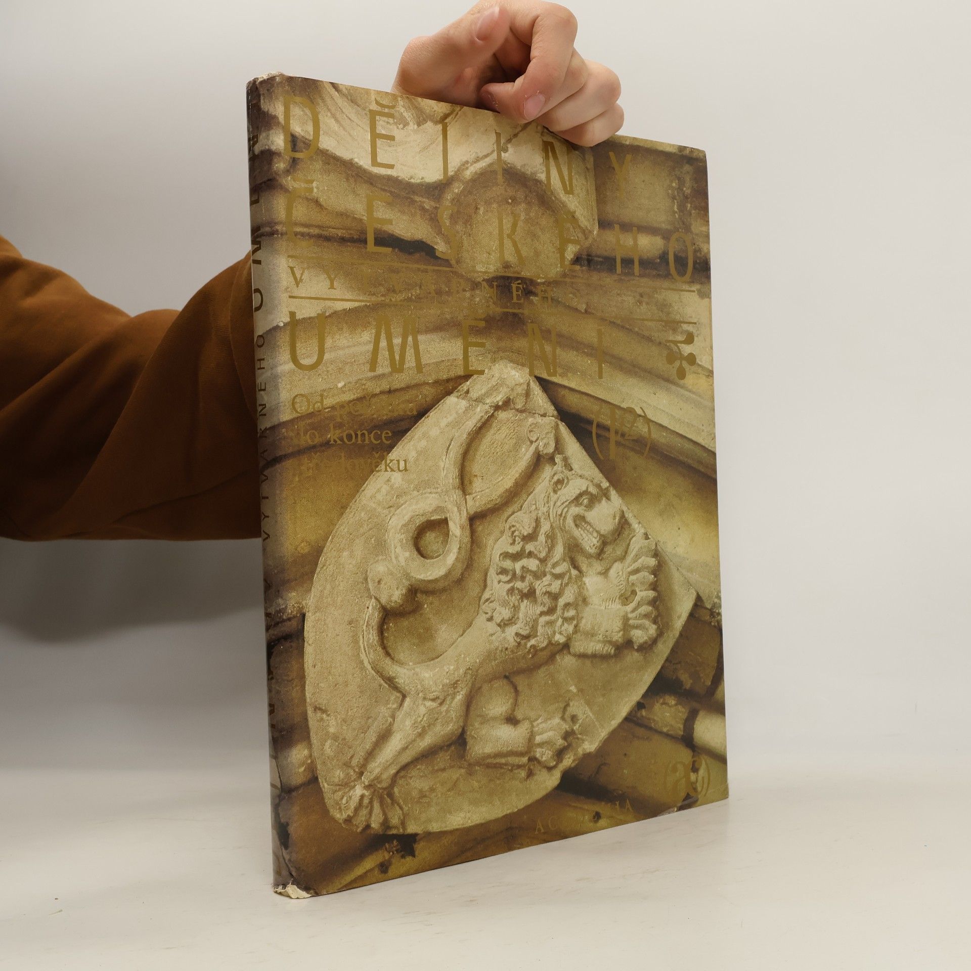 Kolektiv autorů Dějiny českého výtvarného umění I/2