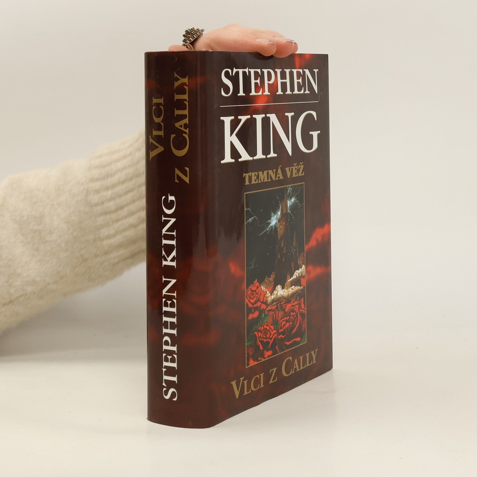Stephen King Temná věž: Vlci z Cally