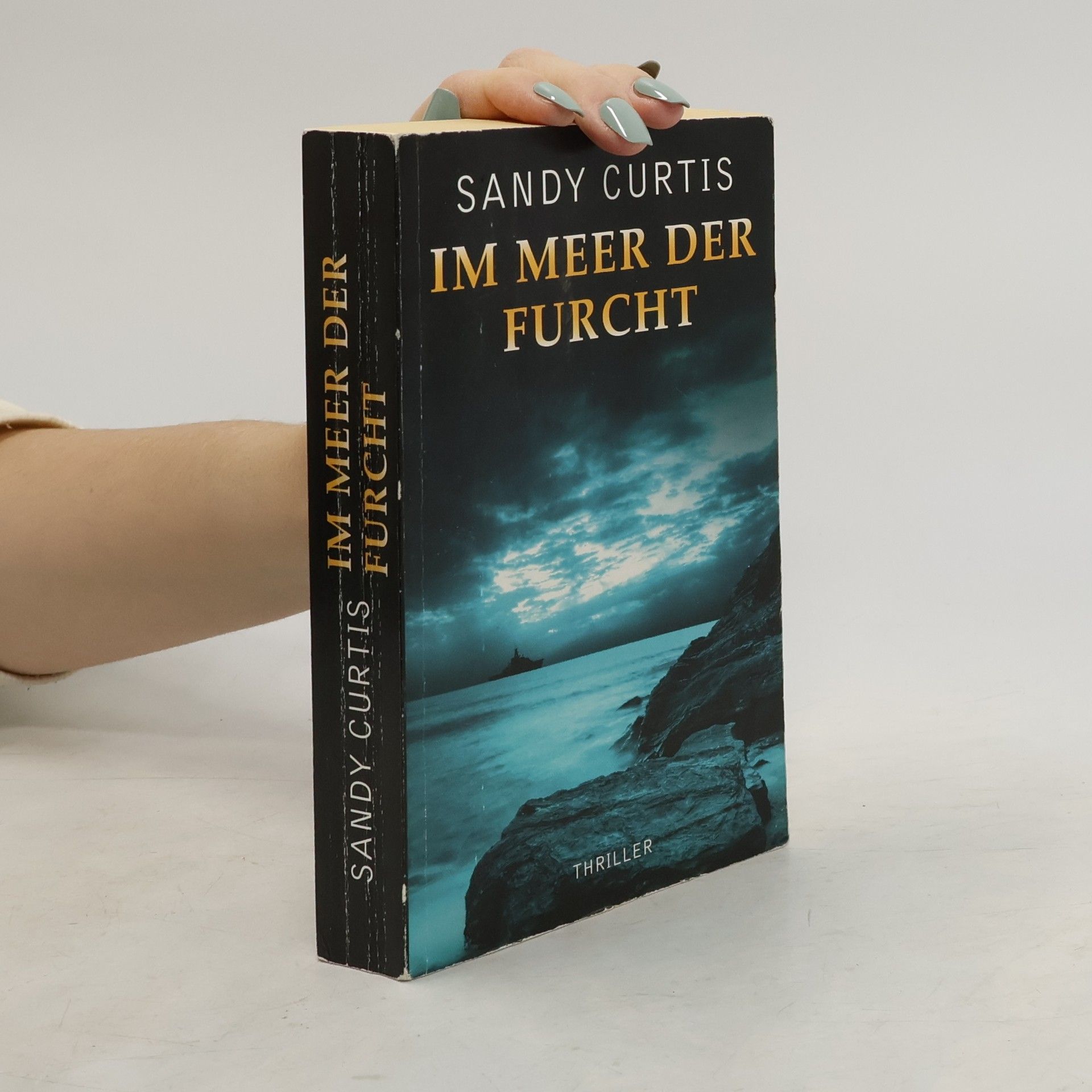 Sandy Curtis Im Meer der Furcht