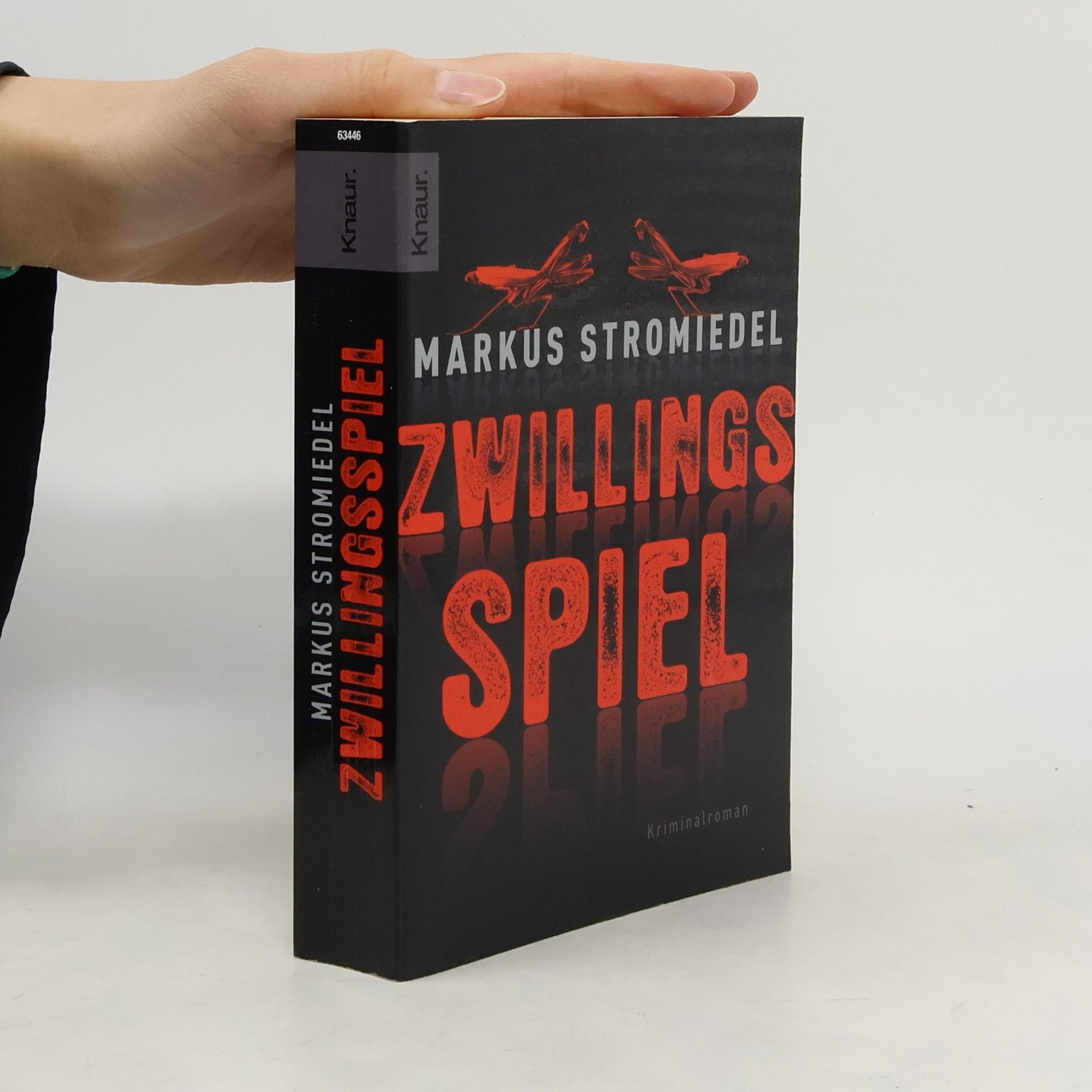 Markus Stromiedel Zwillingsspiel