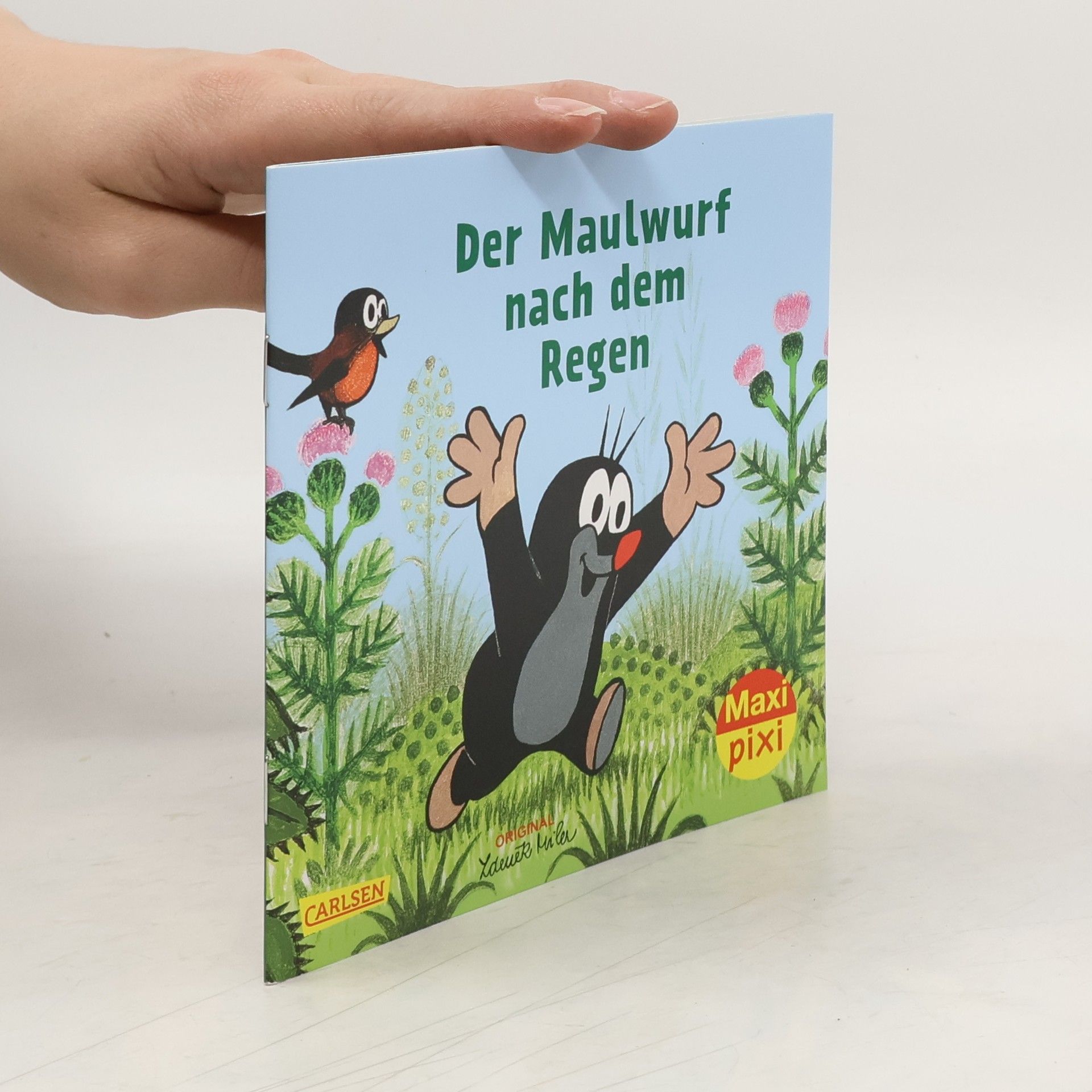 Zdeněk Miler Der Maulwurf nach dem Regen