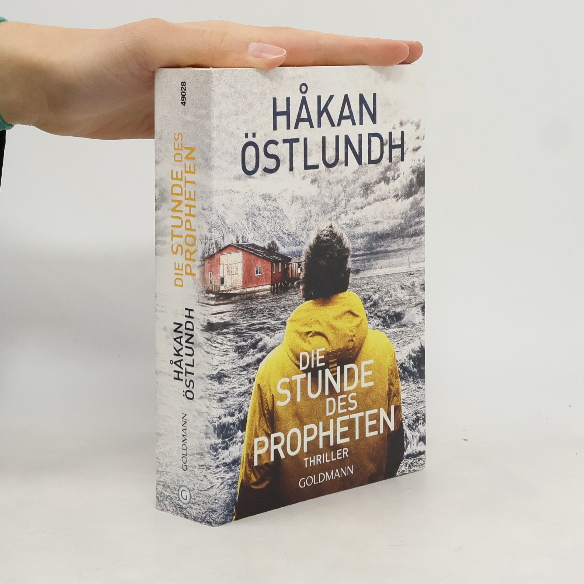 Håkan Östlundh Die Stunde des Propheten