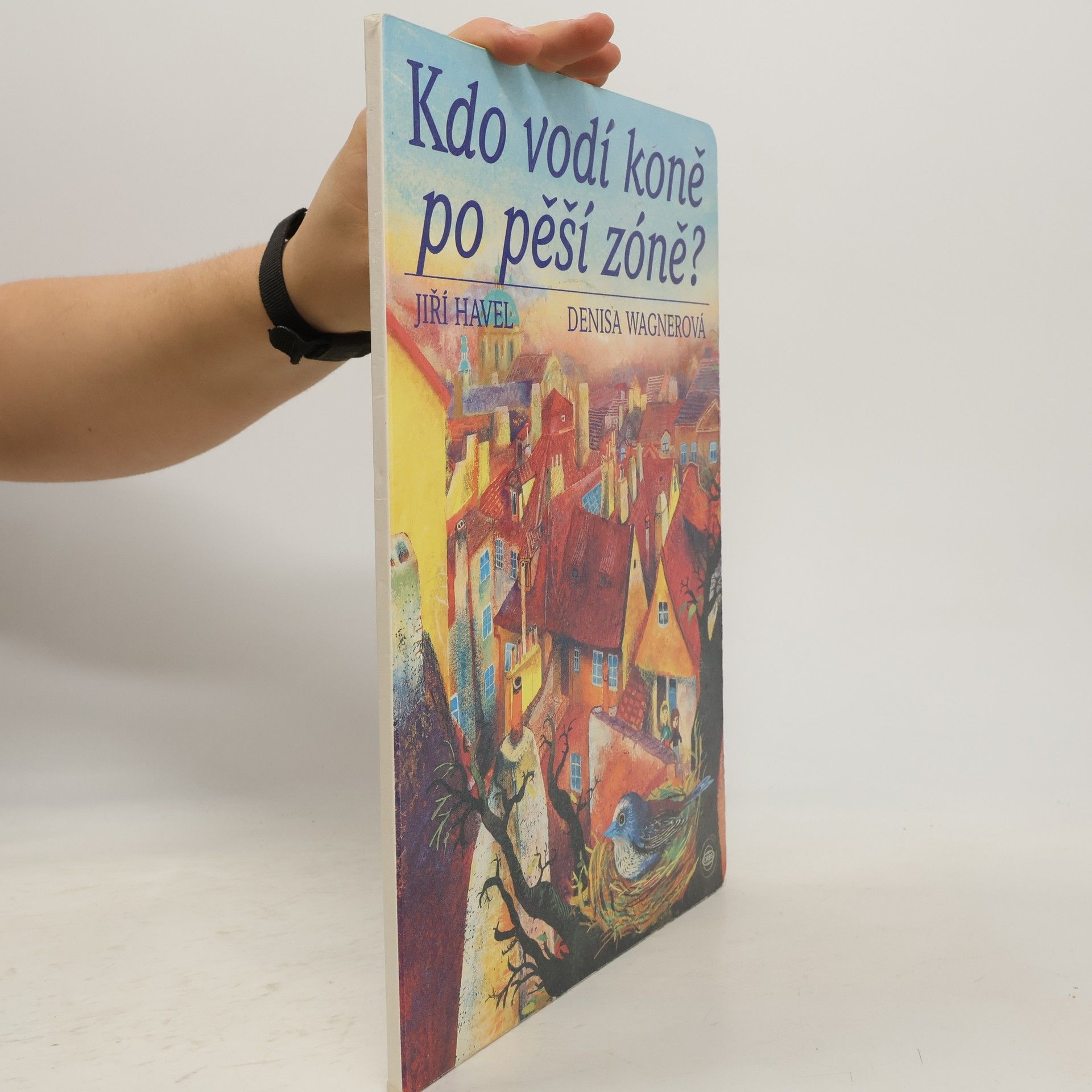 Kdo vodí koně po pěší zóně?