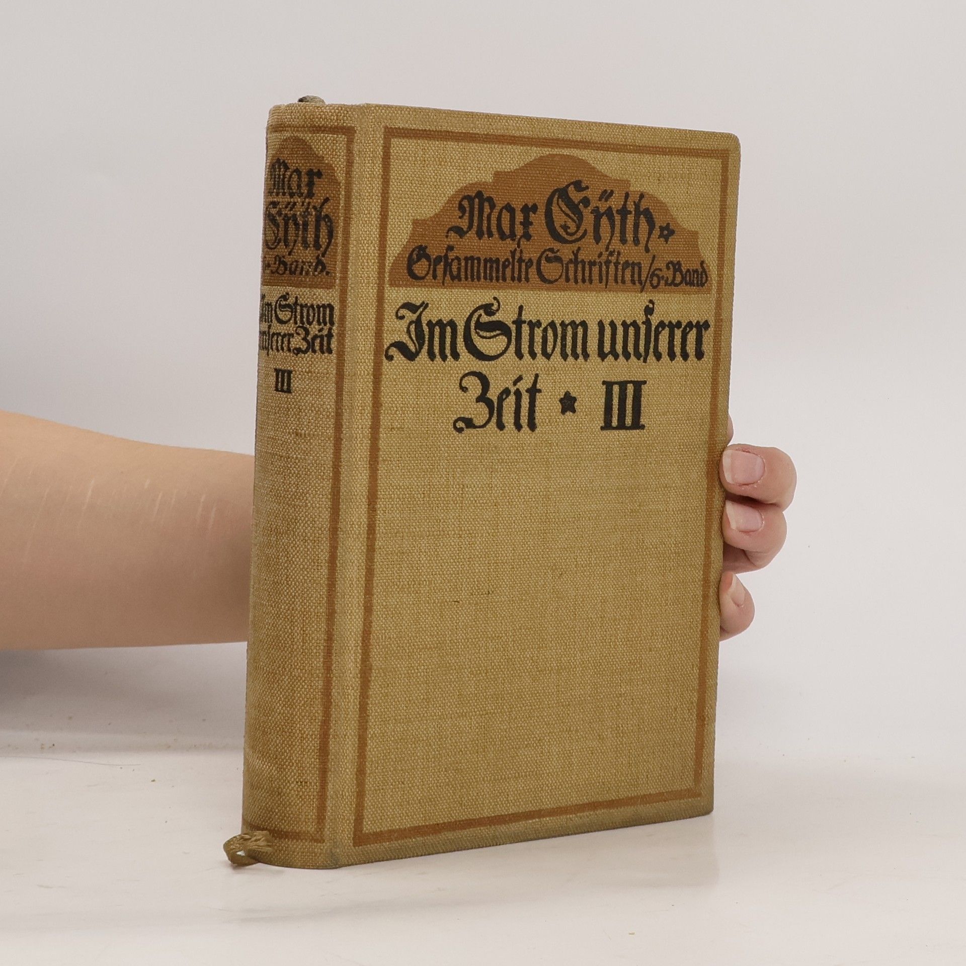 Max Eyth Im Strom unserer Zeit III