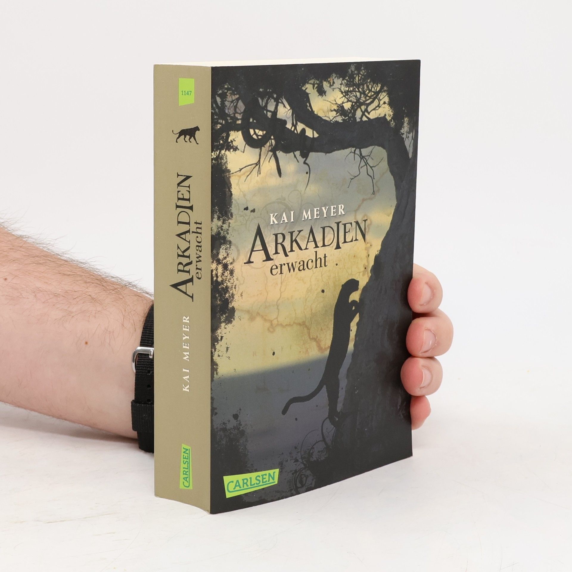 Kai Meyer Arkadien erwacht