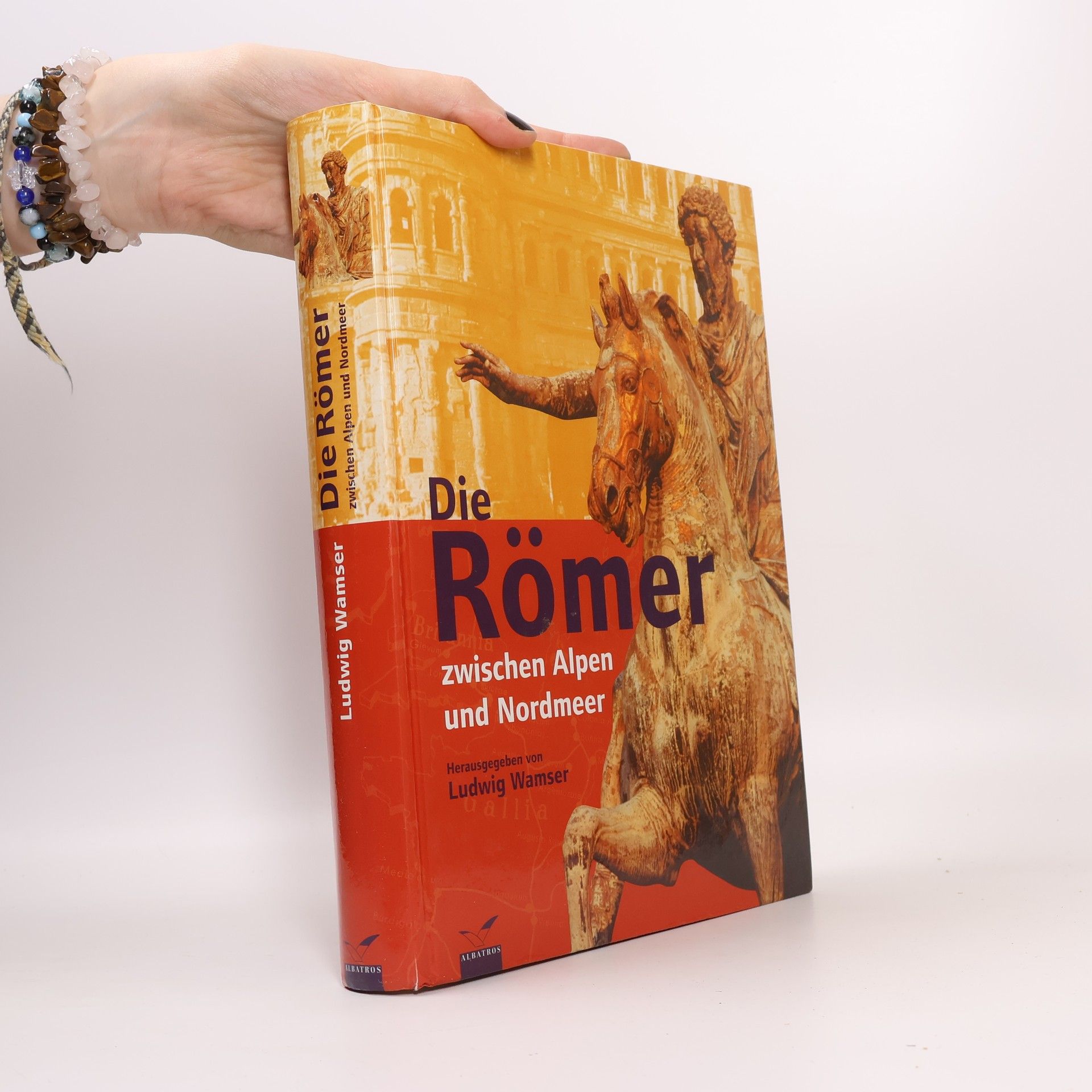 Die Römer zwischen Alpen und Nordmeer